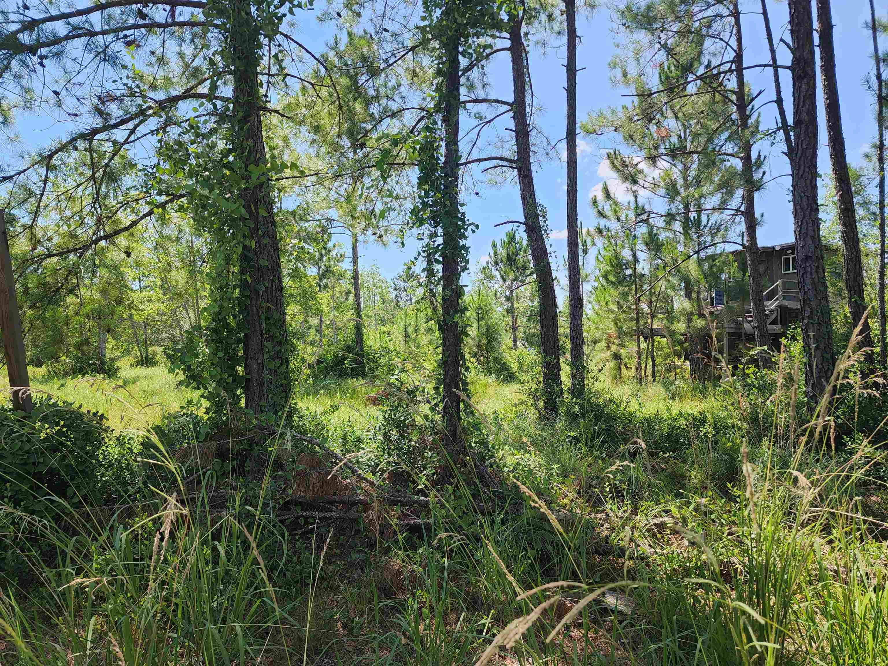8719 Connector Road, Perry, Florida image 12