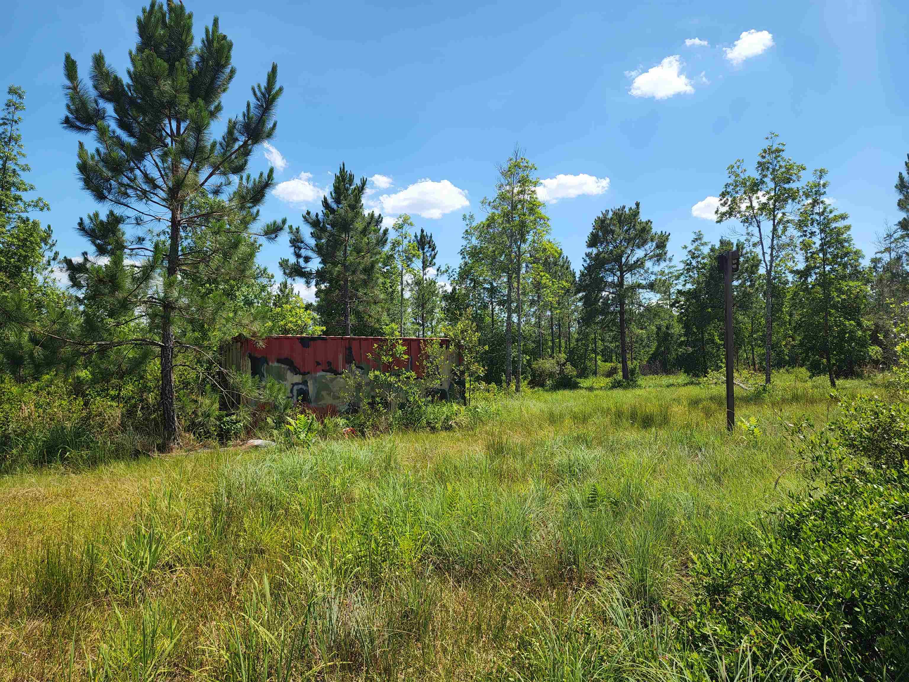 8719 Connector Road, Perry, Florida image 14