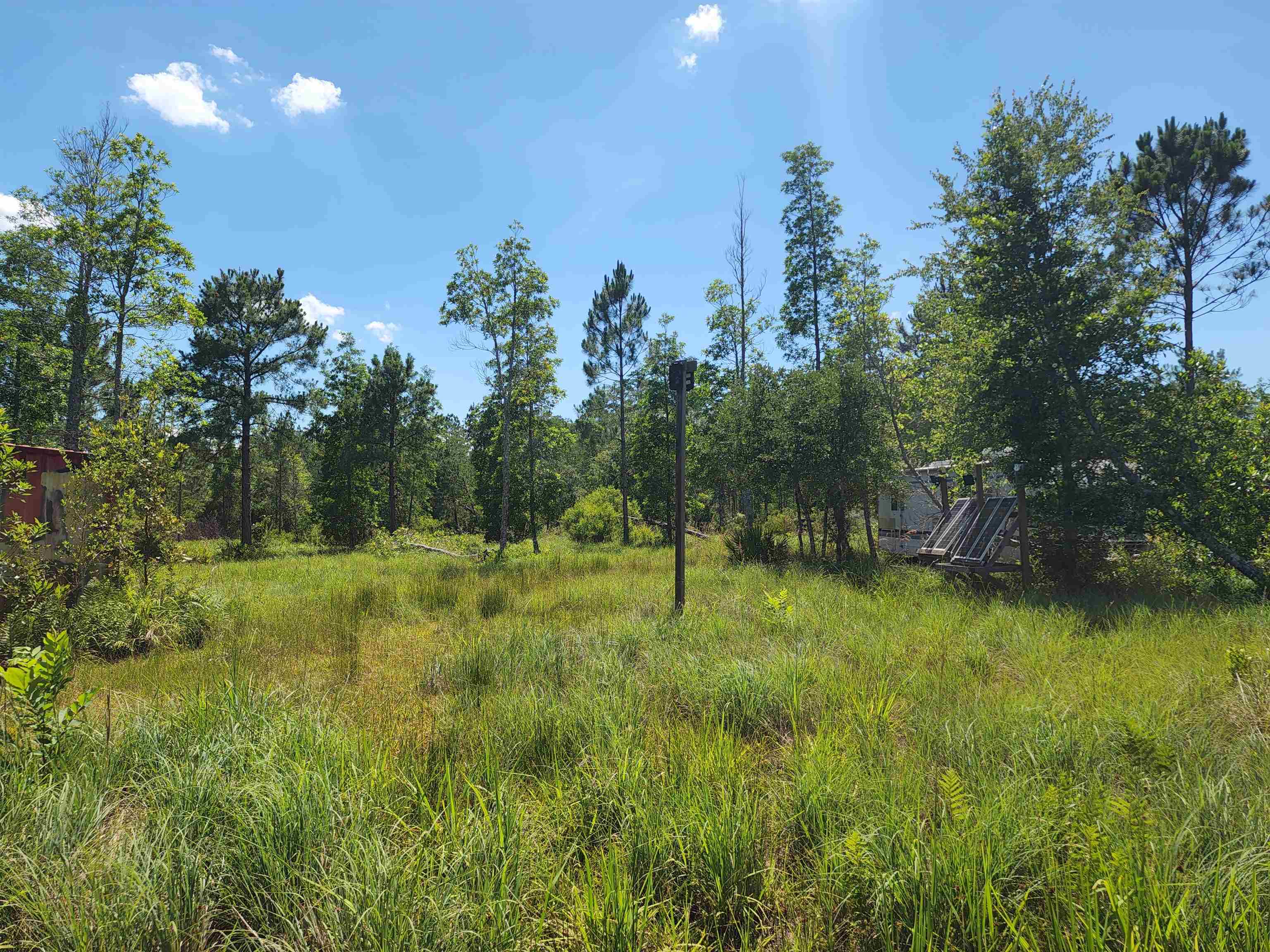 8719 Connector Road, Perry, Florida image 19