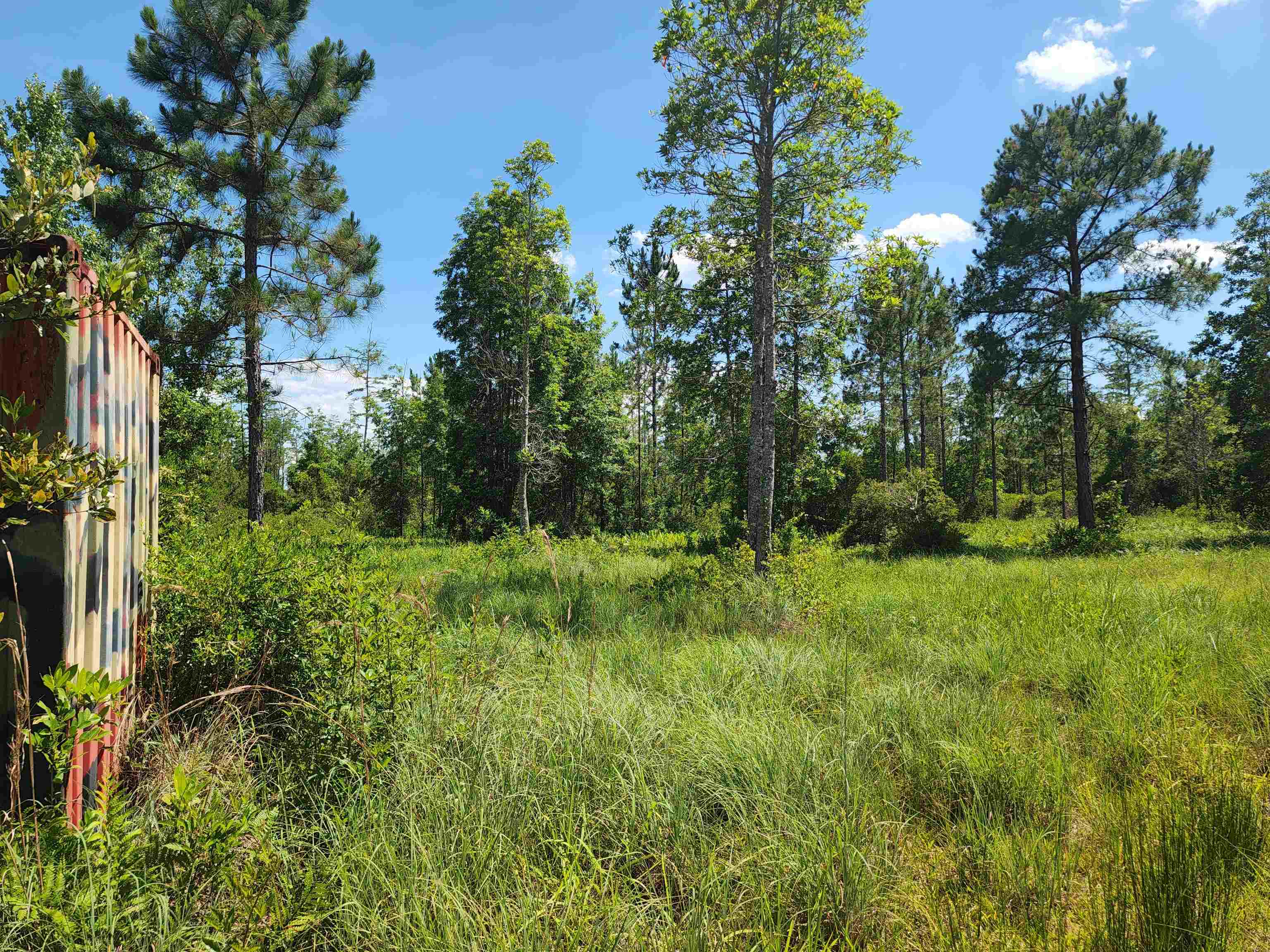 8719 Connector Road, Perry, Florida image 20