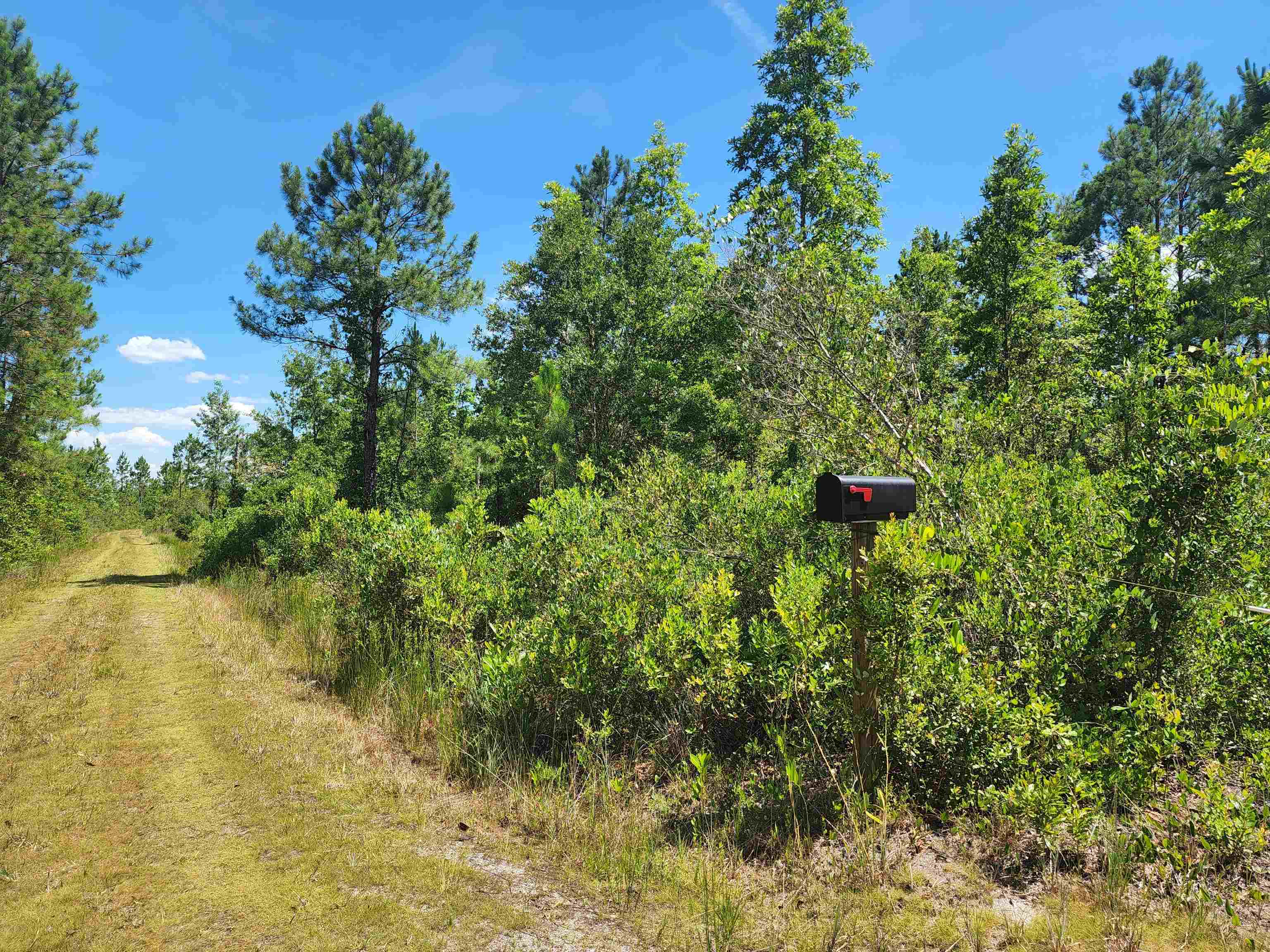 8719 Connector Road, Perry, Florida image 5