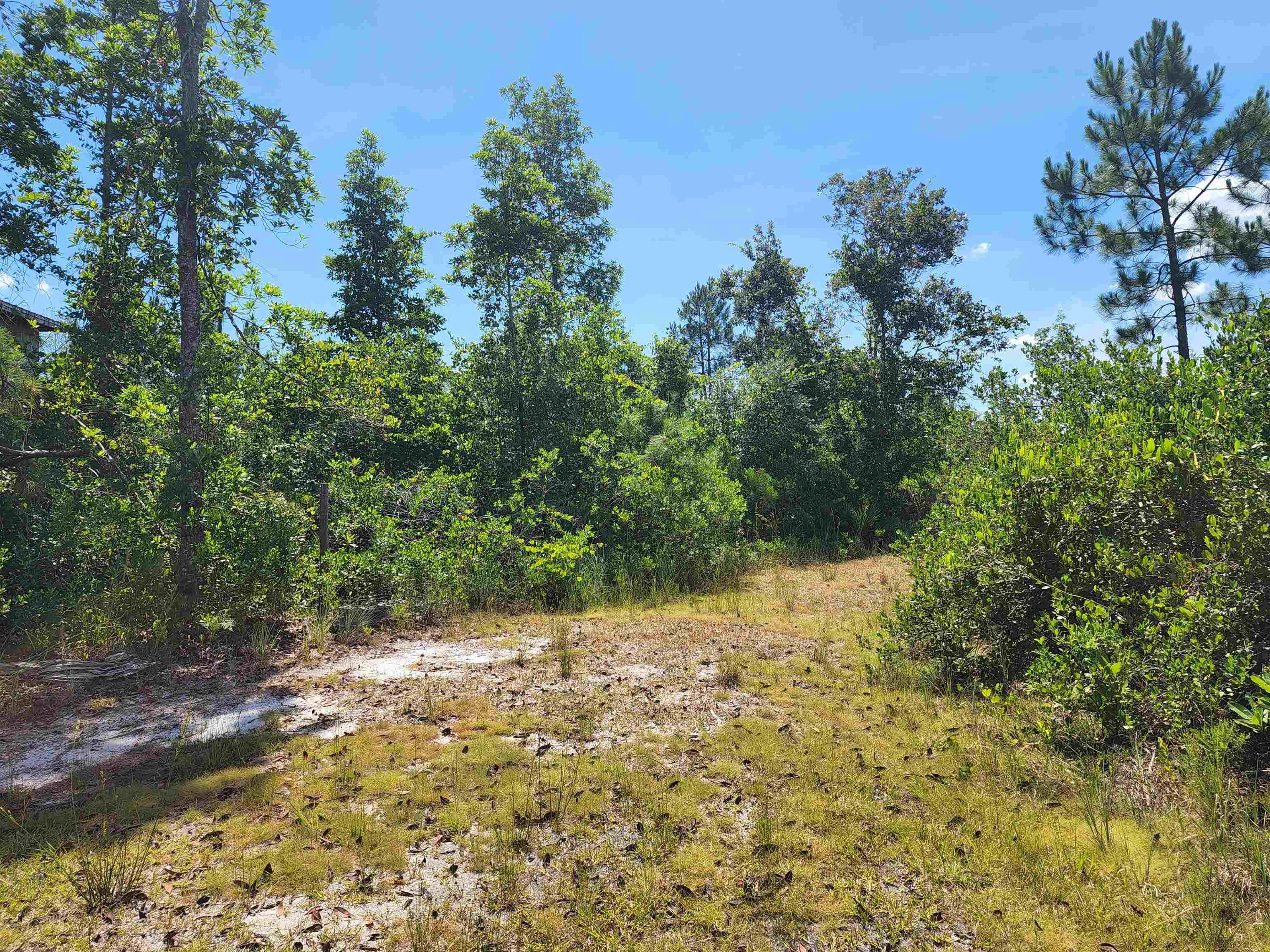 8719 Connector Road, Perry, Florida image 6