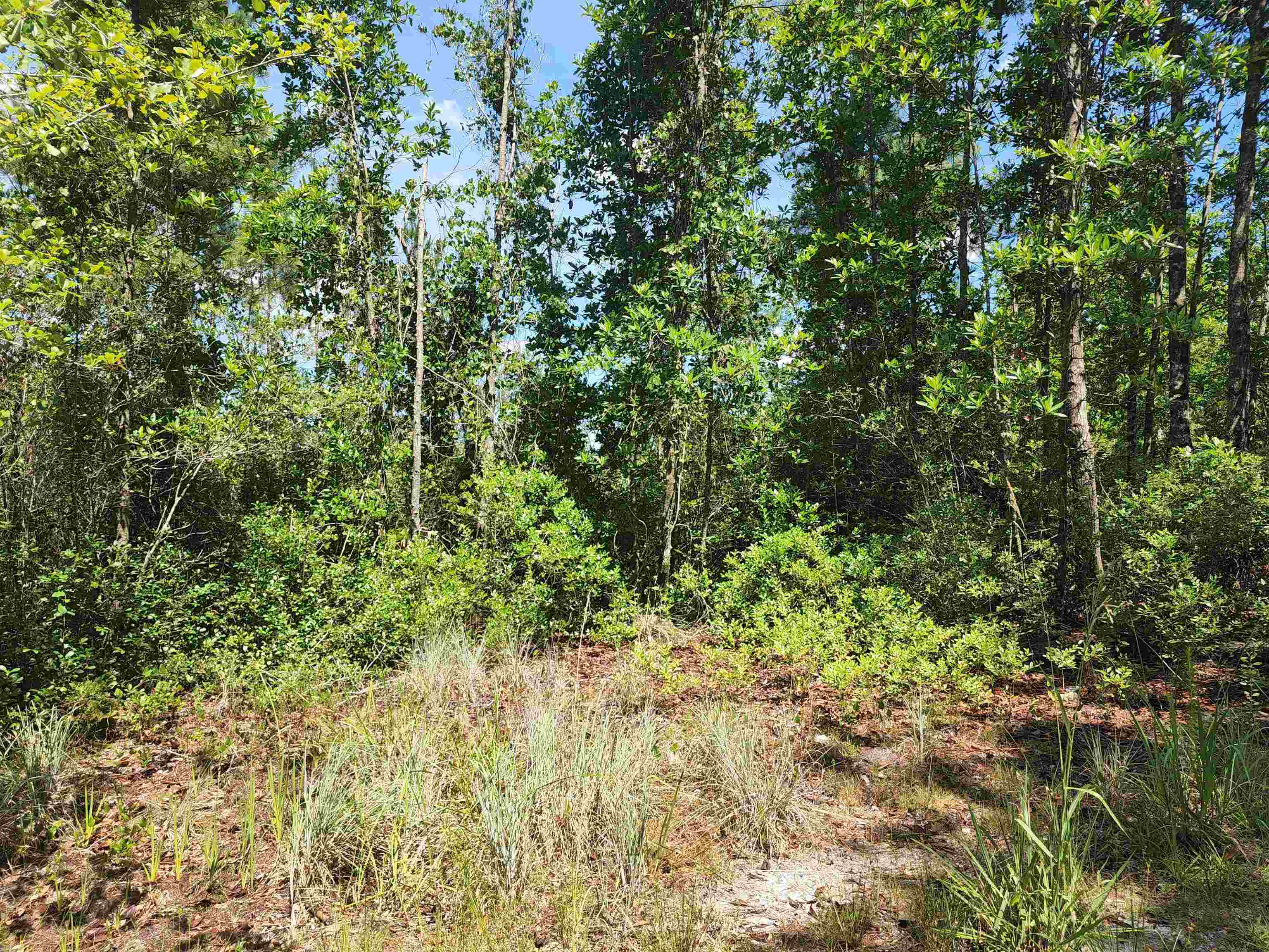 8719 Connector Road, Perry, Florida image 7
