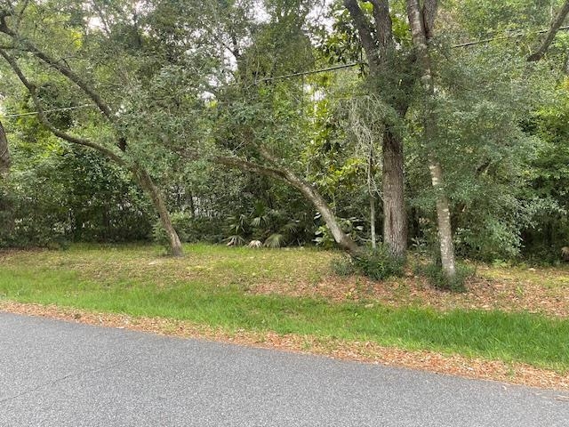 Xxx Crooked Road, Tallahassee, Florida image 1
