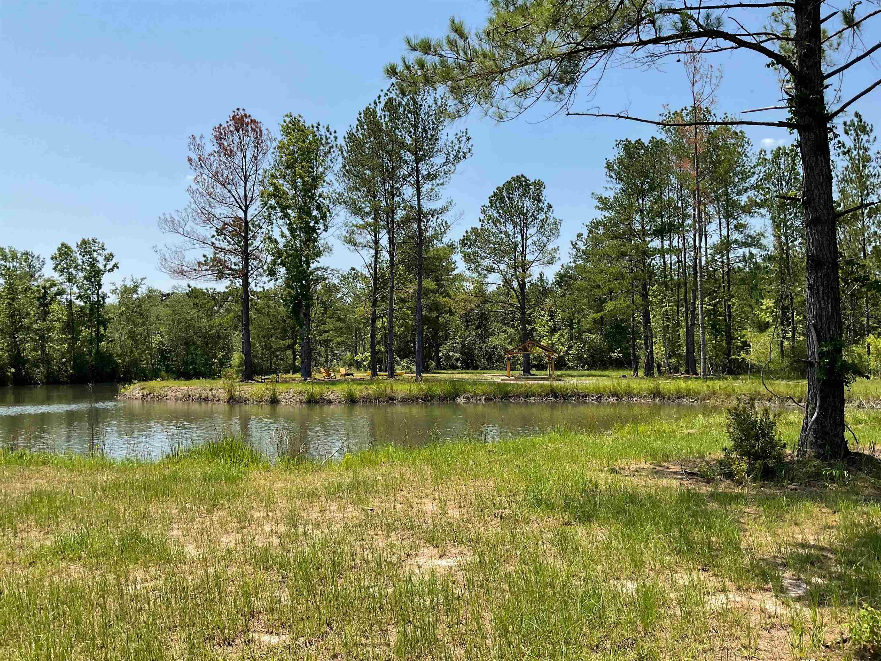 409 SW Hike Lake Road, Madison, Florida image 4