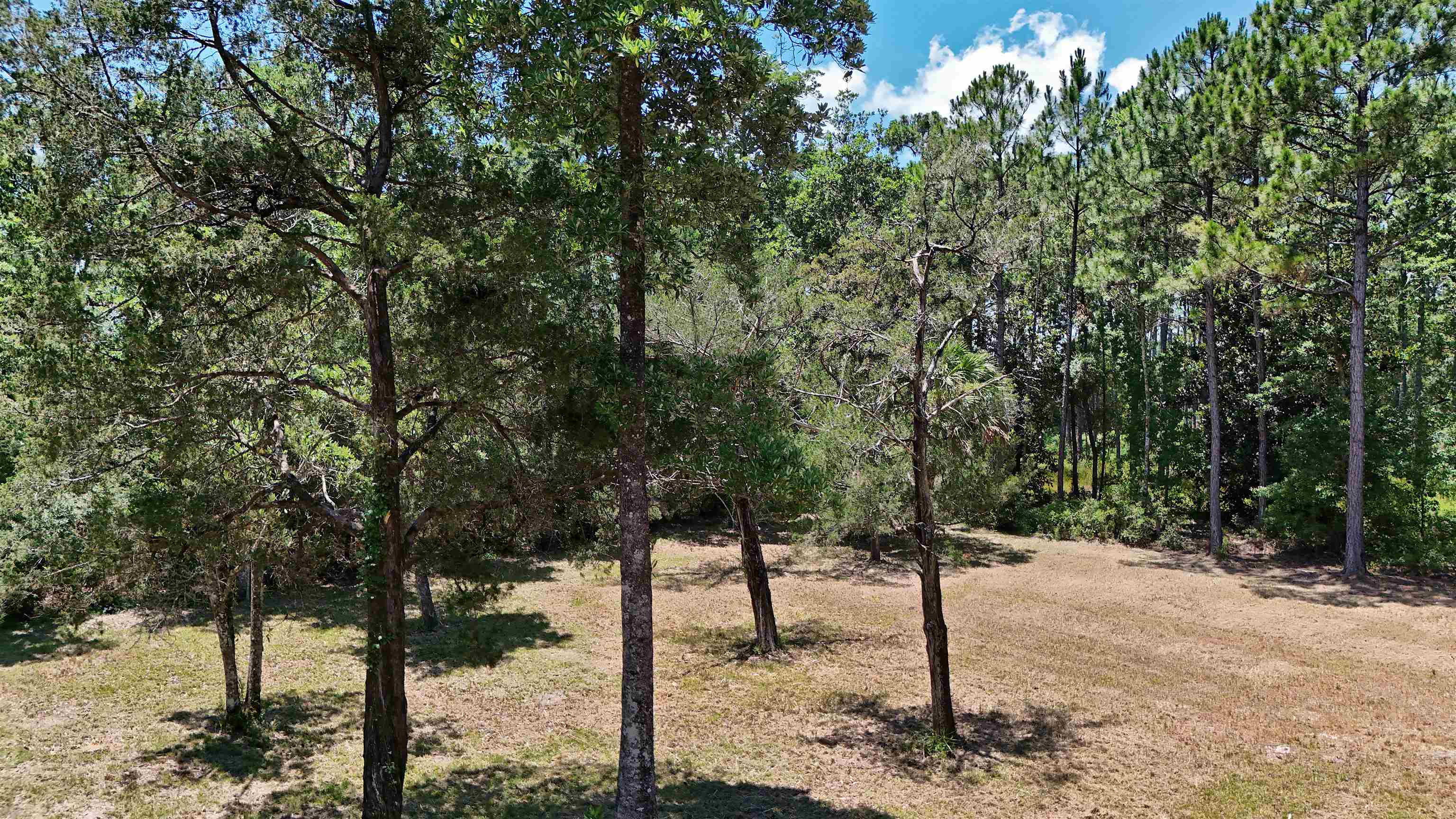 136 Alapaha Avenue, Panacea, Florida image 10