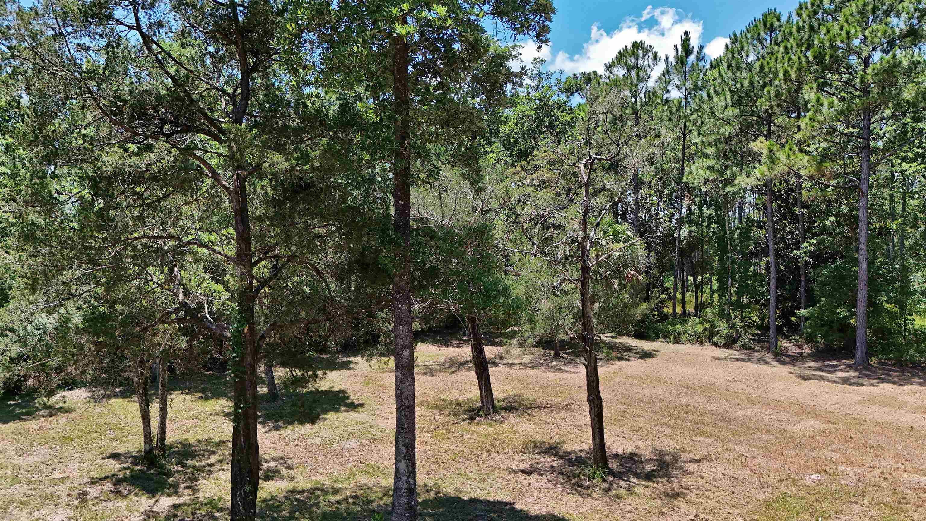 136 Alapaha Avenue, PANACEA, Florida image 10