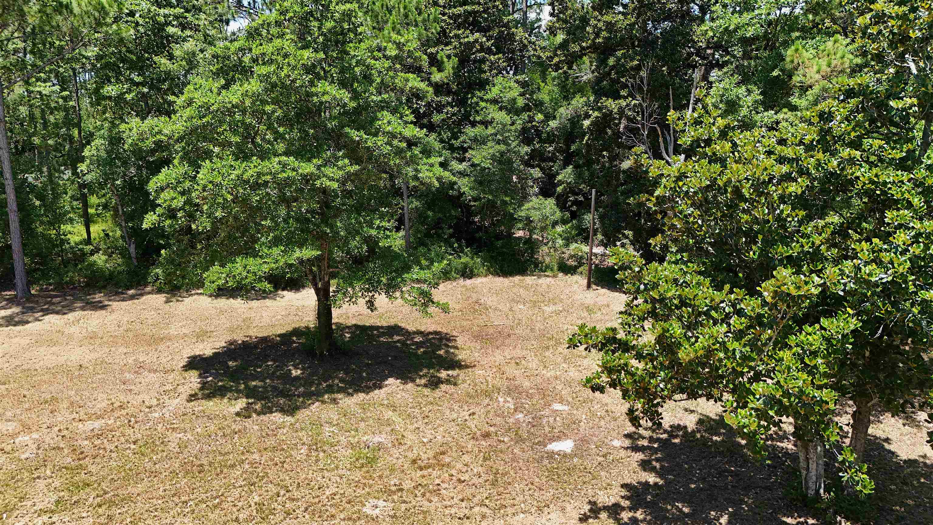 136 Alapaha Avenue, Panacea, Florida image 11
