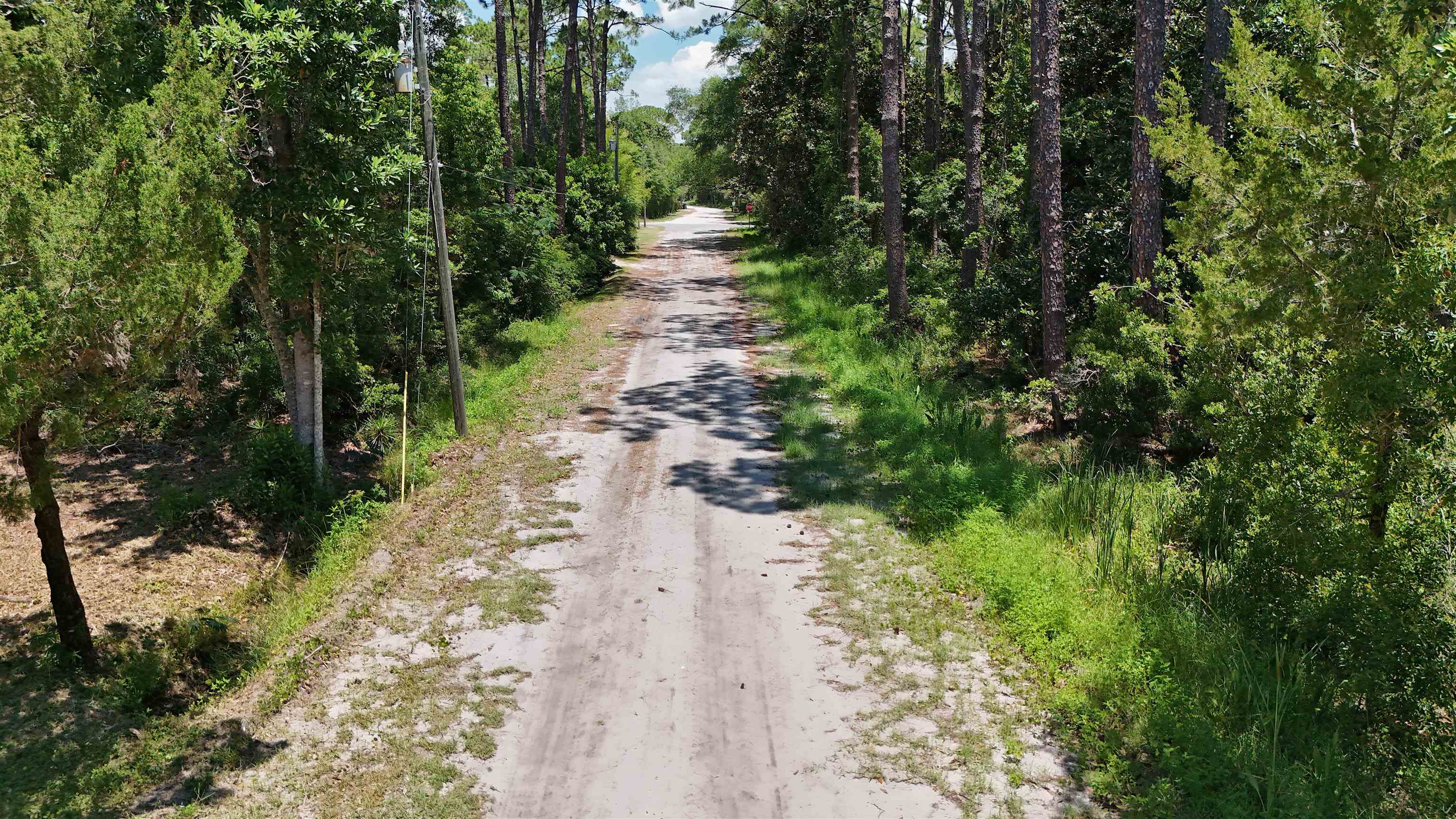 136 Alapaha Avenue, Panacea, Florida image 12