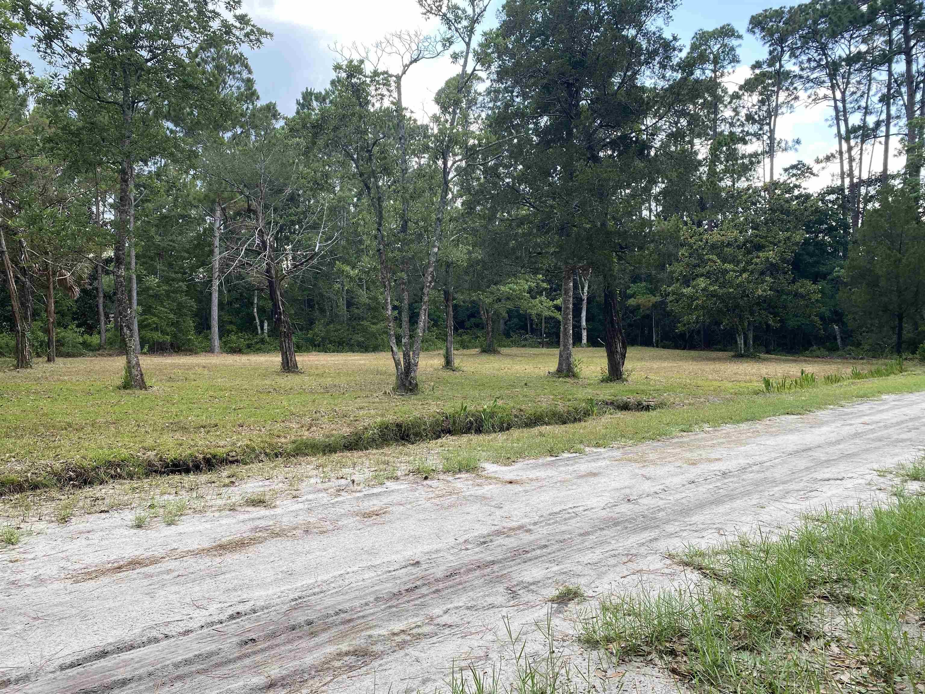 136 Alapaha Avenue, Panacea, Florida image 13