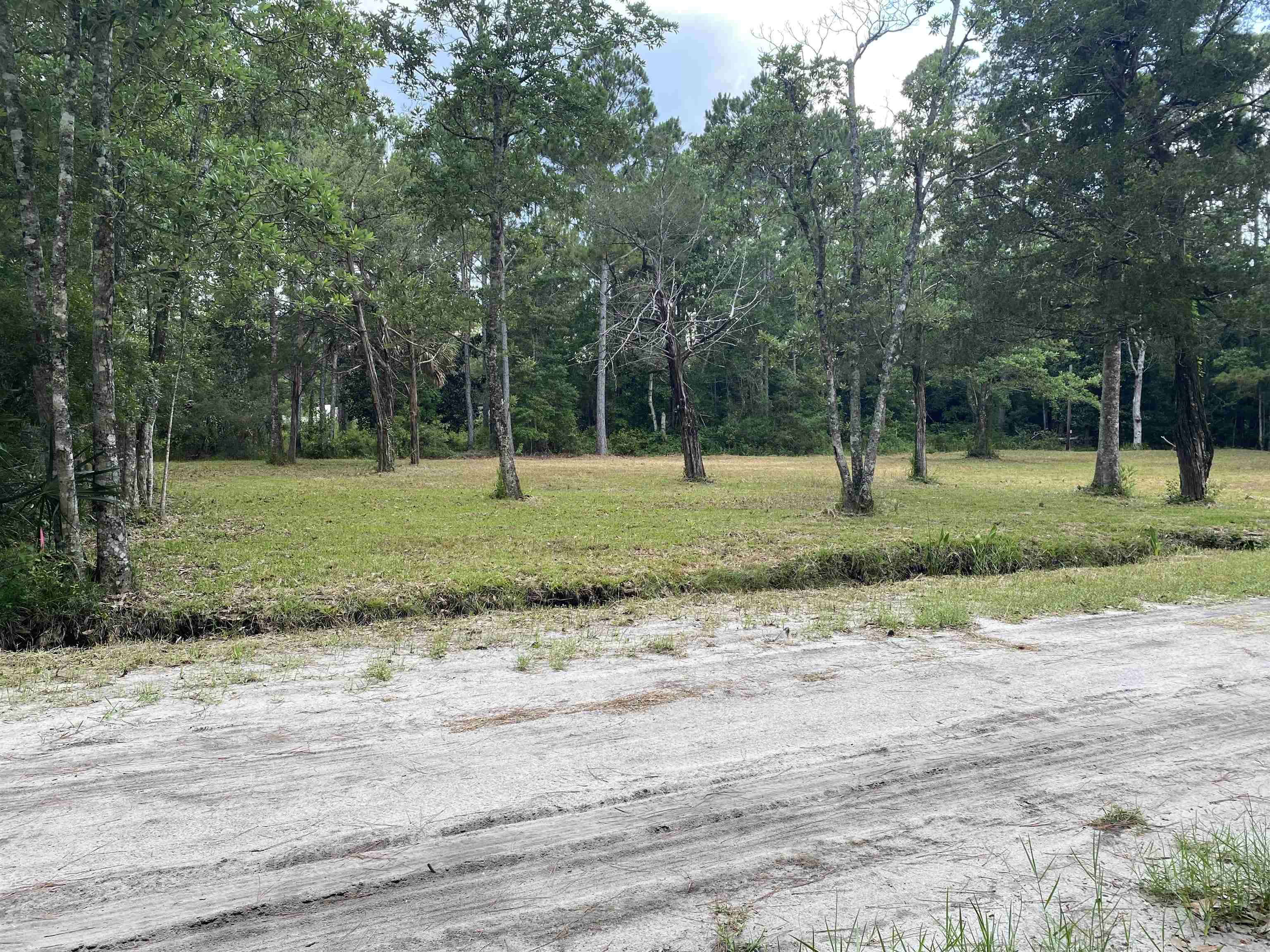 136 Alapaha Avenue, Panacea, Florida image 15