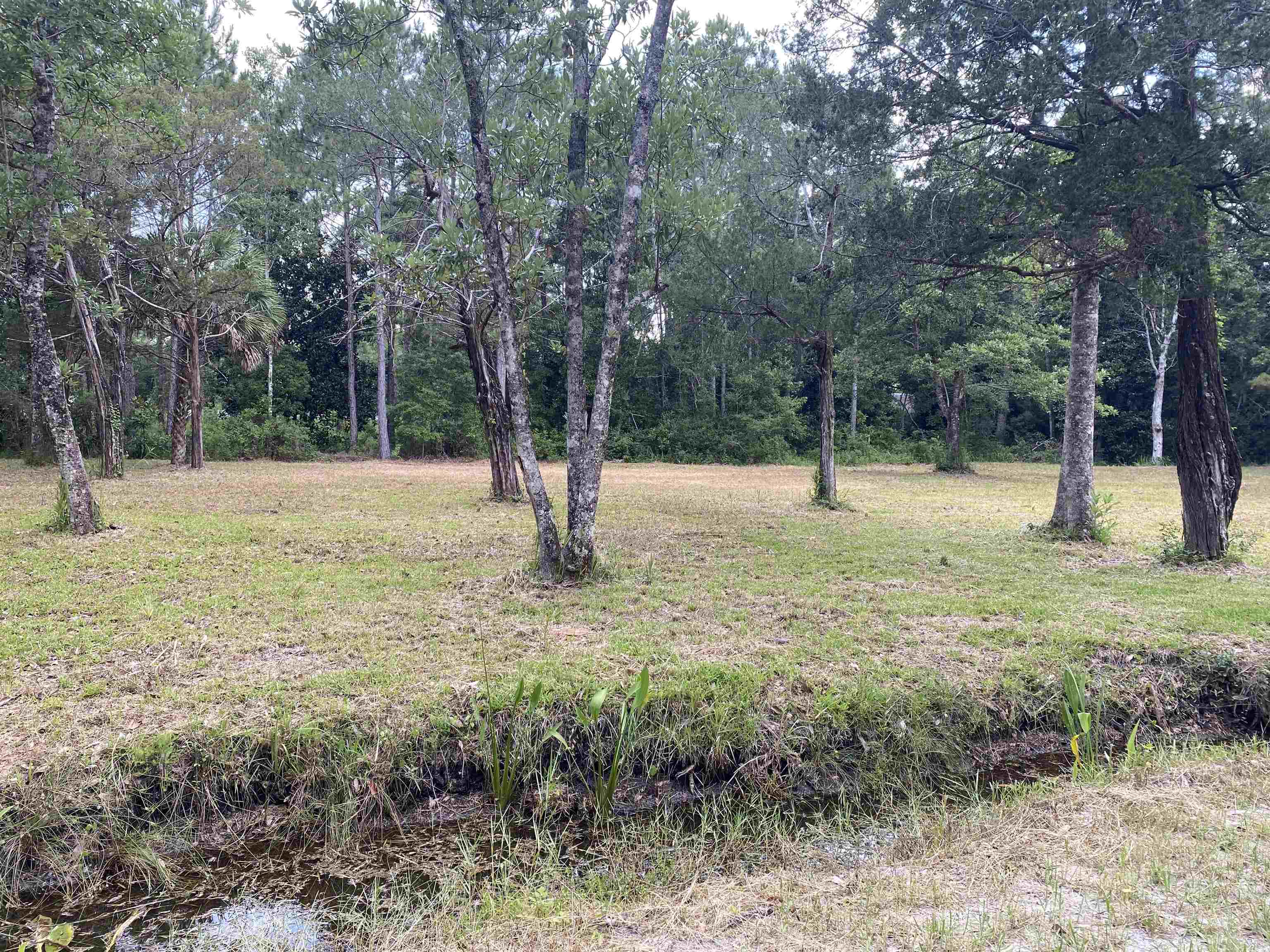 136 Alapaha Avenue, Panacea, Florida image 17