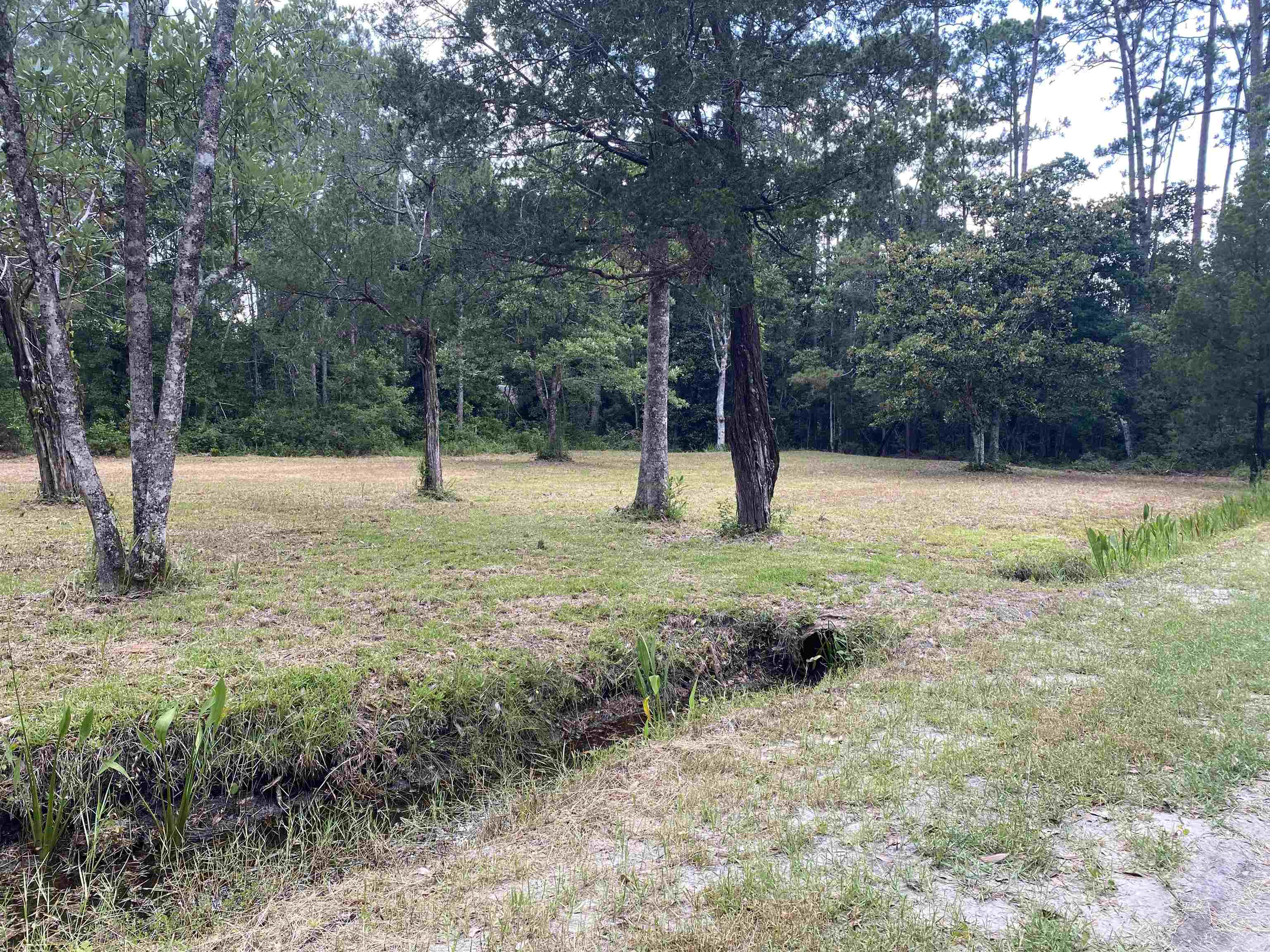 136 Alapaha Avenue, Panacea, Florida image 18