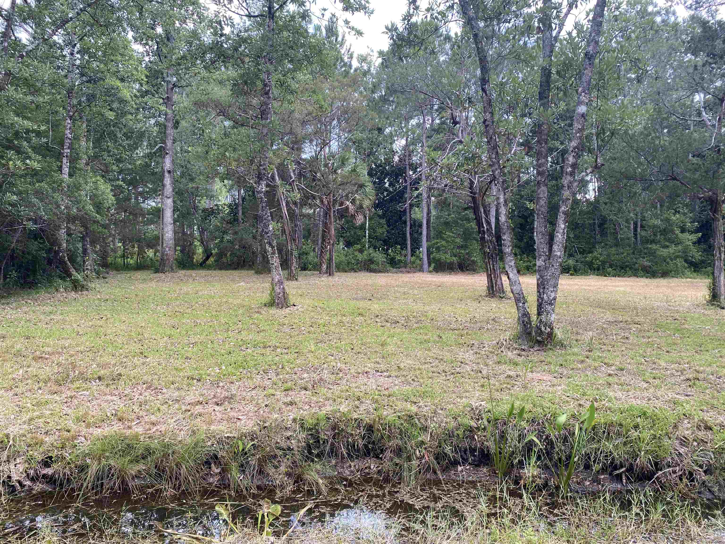 136 Alapaha Avenue, Panacea, Florida image 19