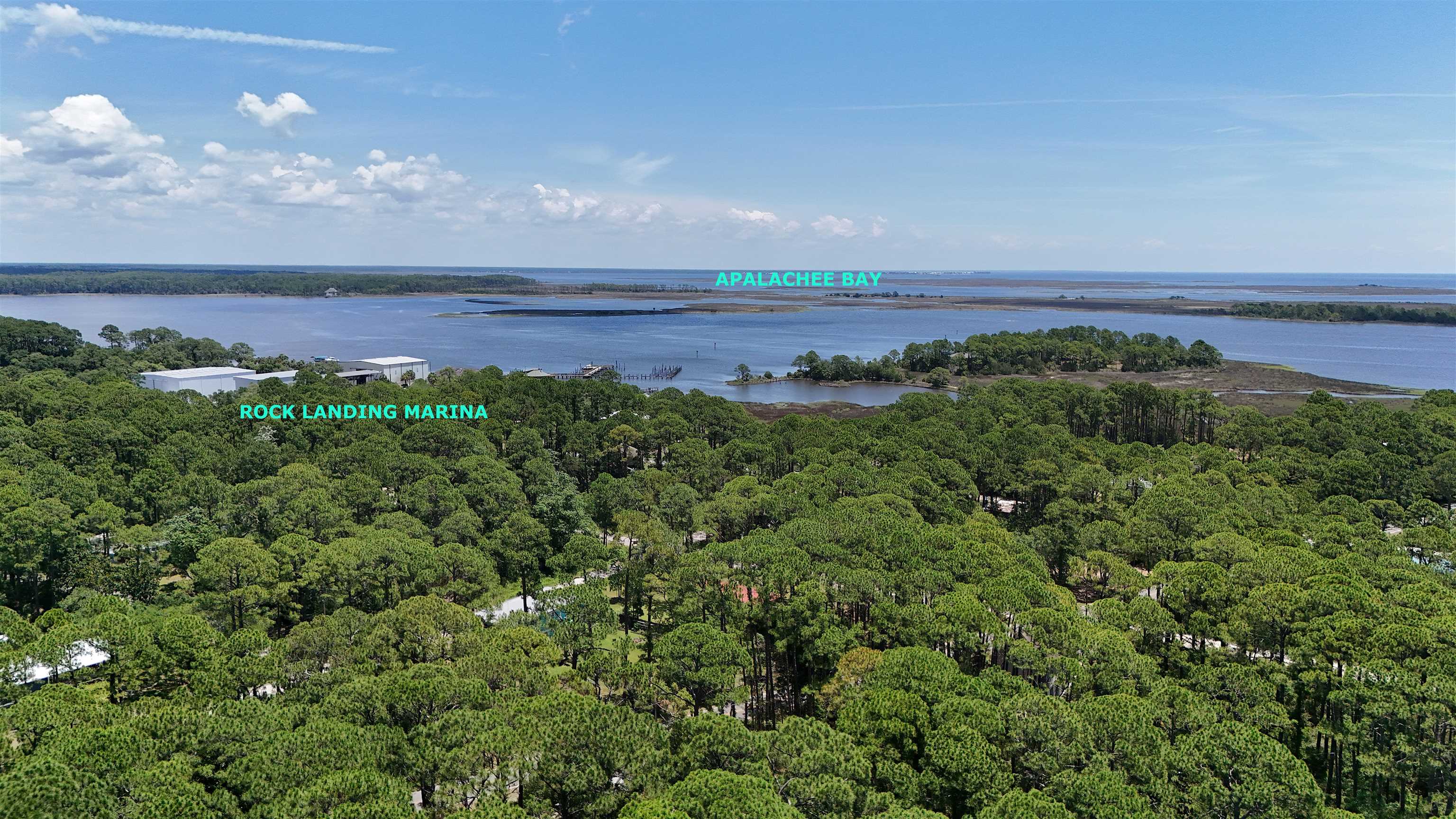 136 Alapaha Avenue, Panacea, Florida image 2