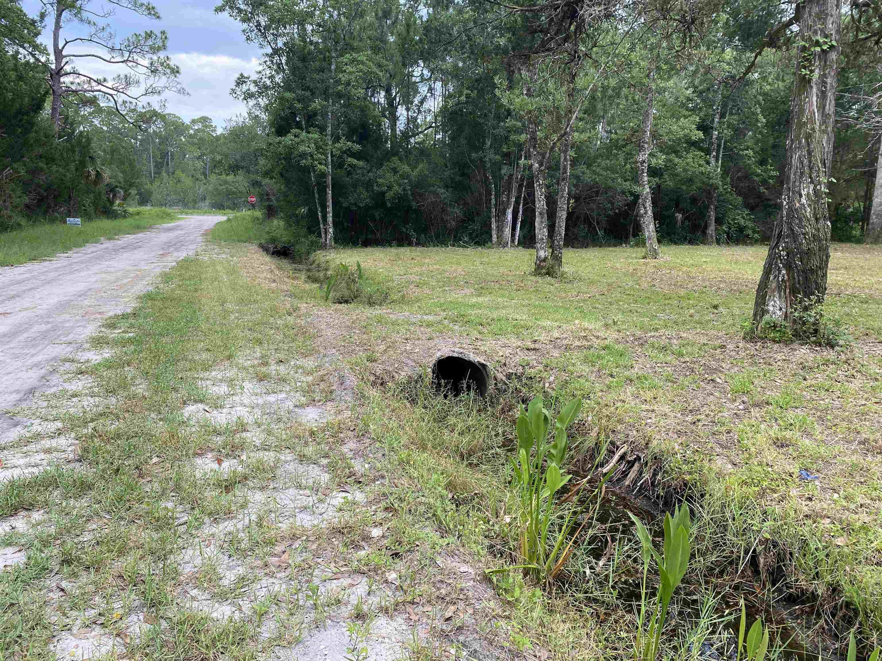 136 Alapaha Avenue, Panacea, Florida image 20