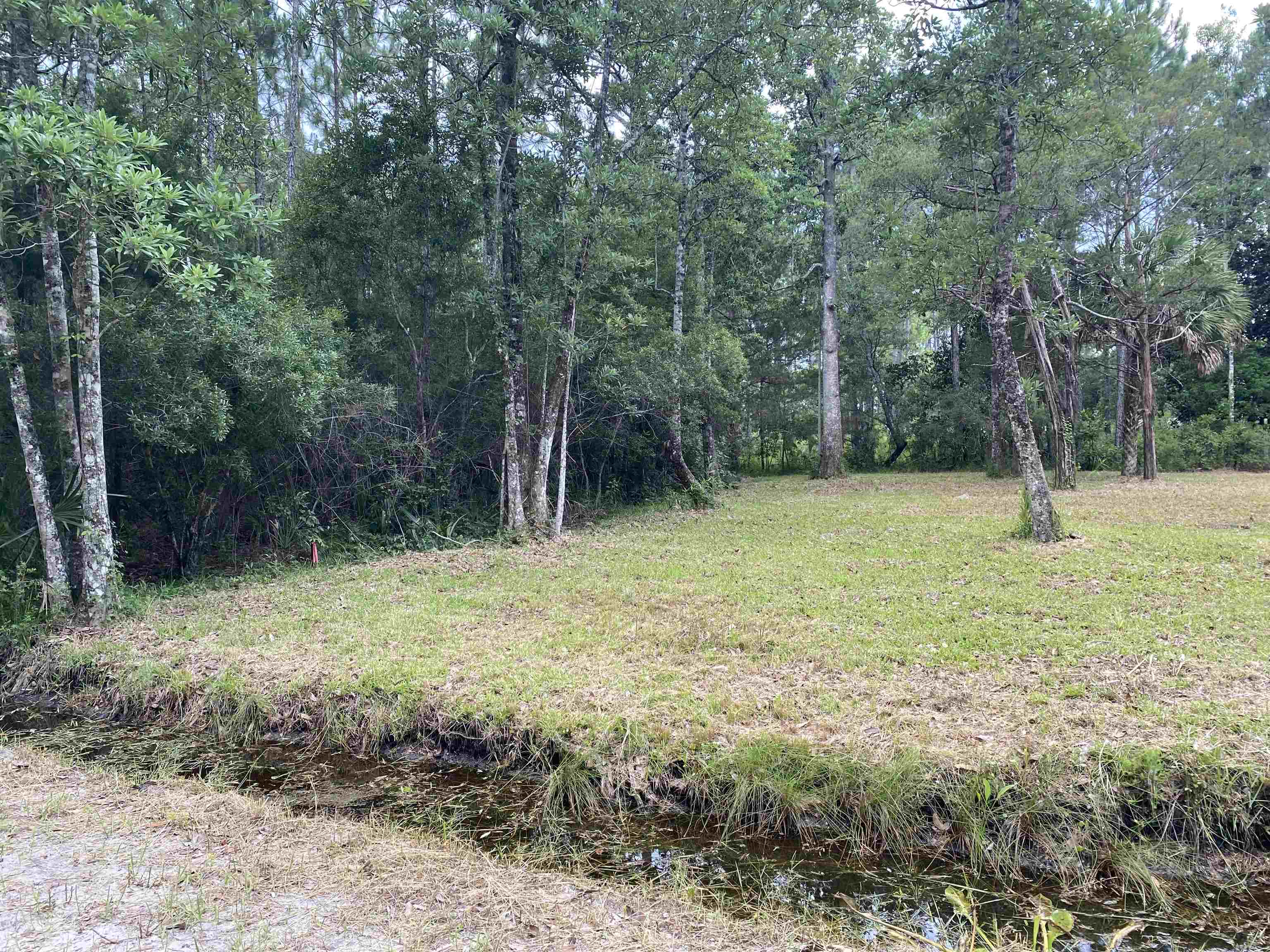 136 Alapaha Avenue, Panacea, Florida image 21