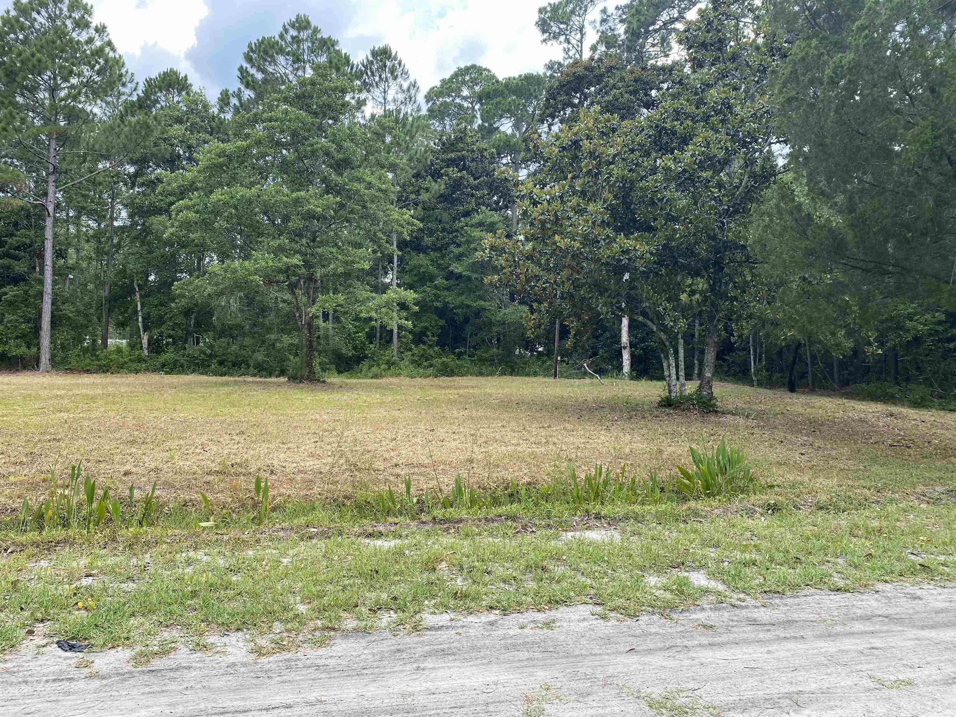 136 Alapaha Avenue, Panacea, Florida image 22