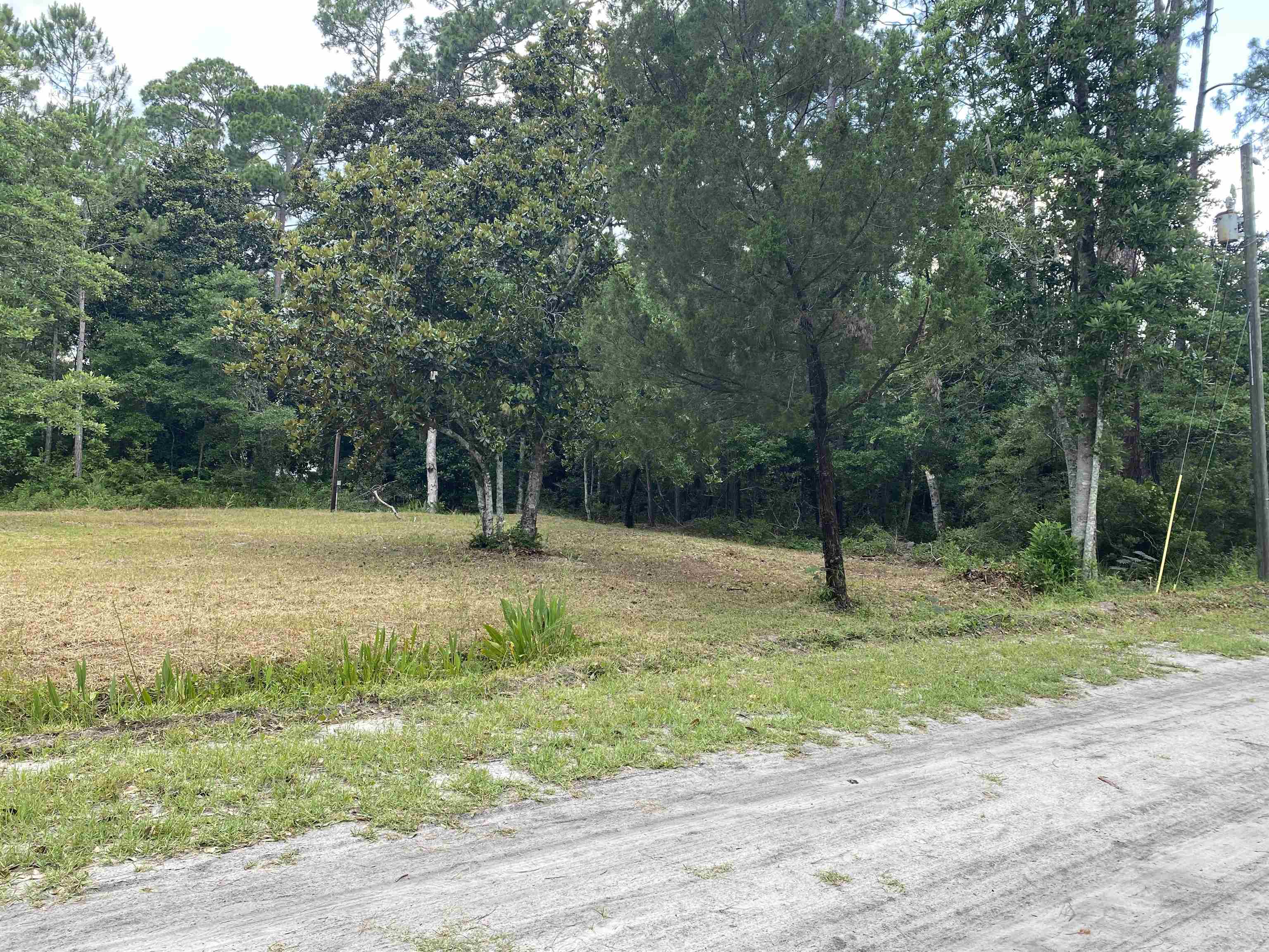 136 Alapaha Avenue, Panacea, Florida image 23