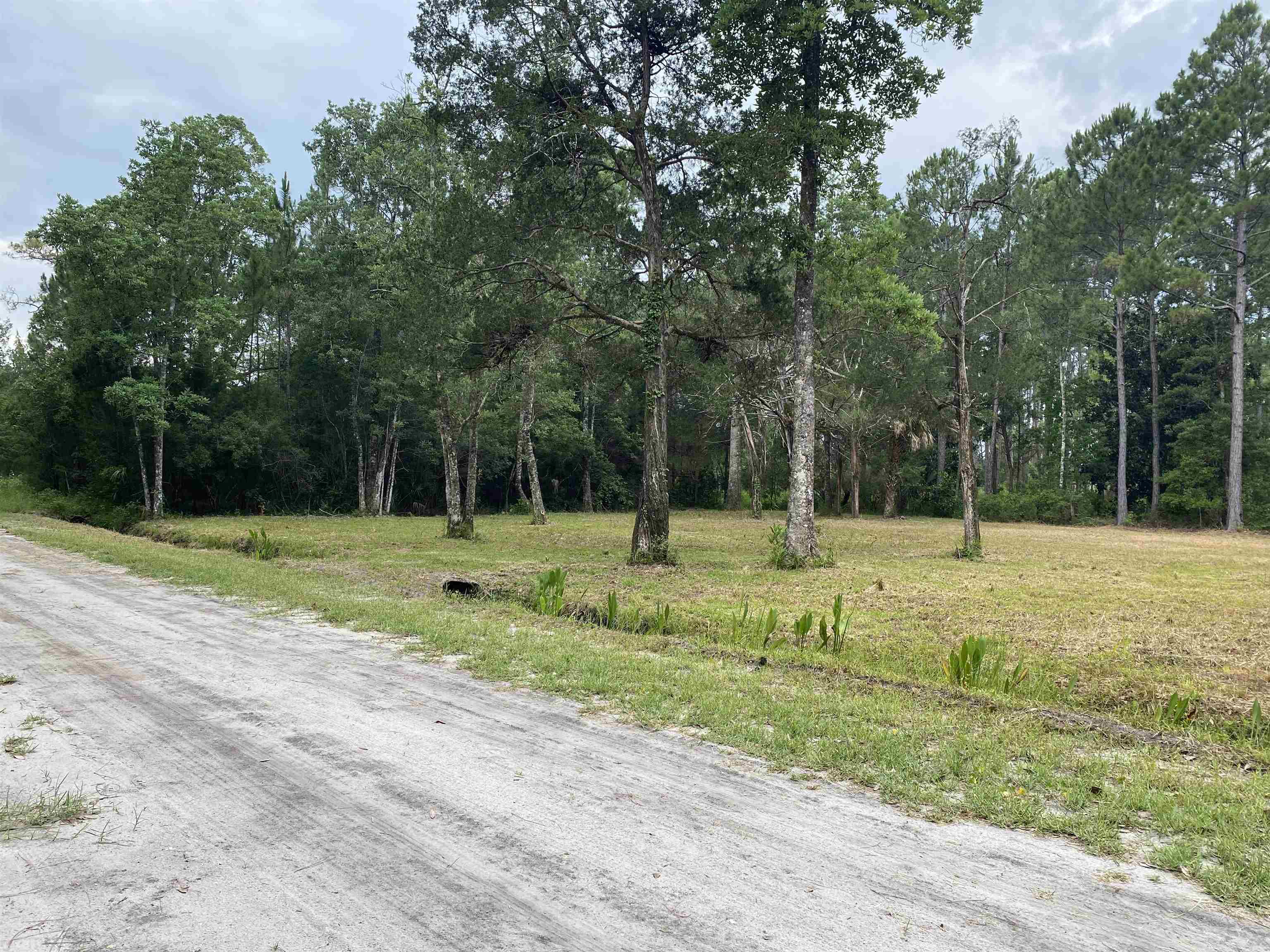 136 Alapaha Avenue, Panacea, Florida image 24