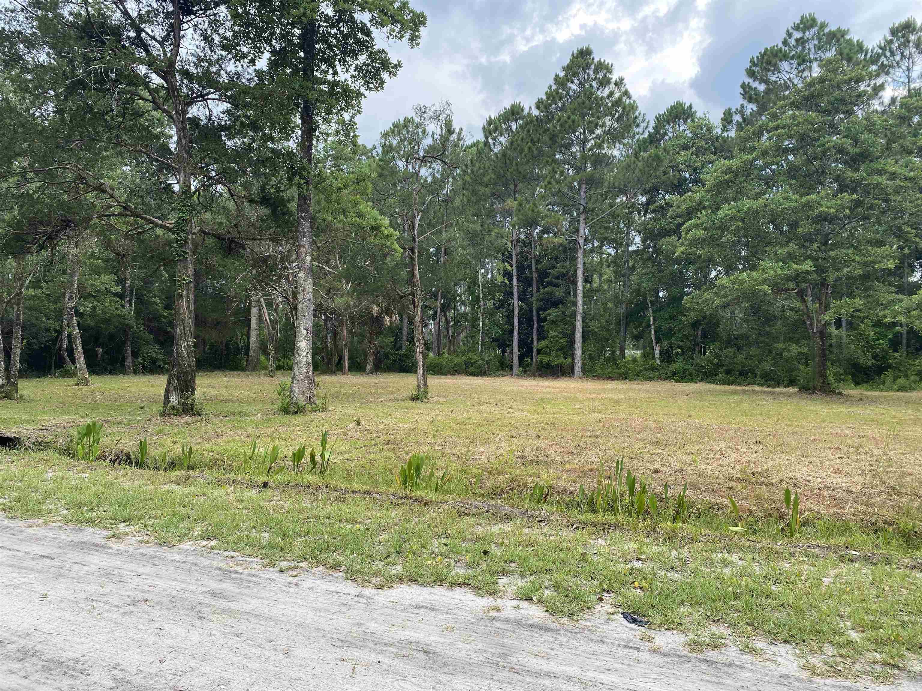136 Alapaha Avenue, Panacea, Florida image 26