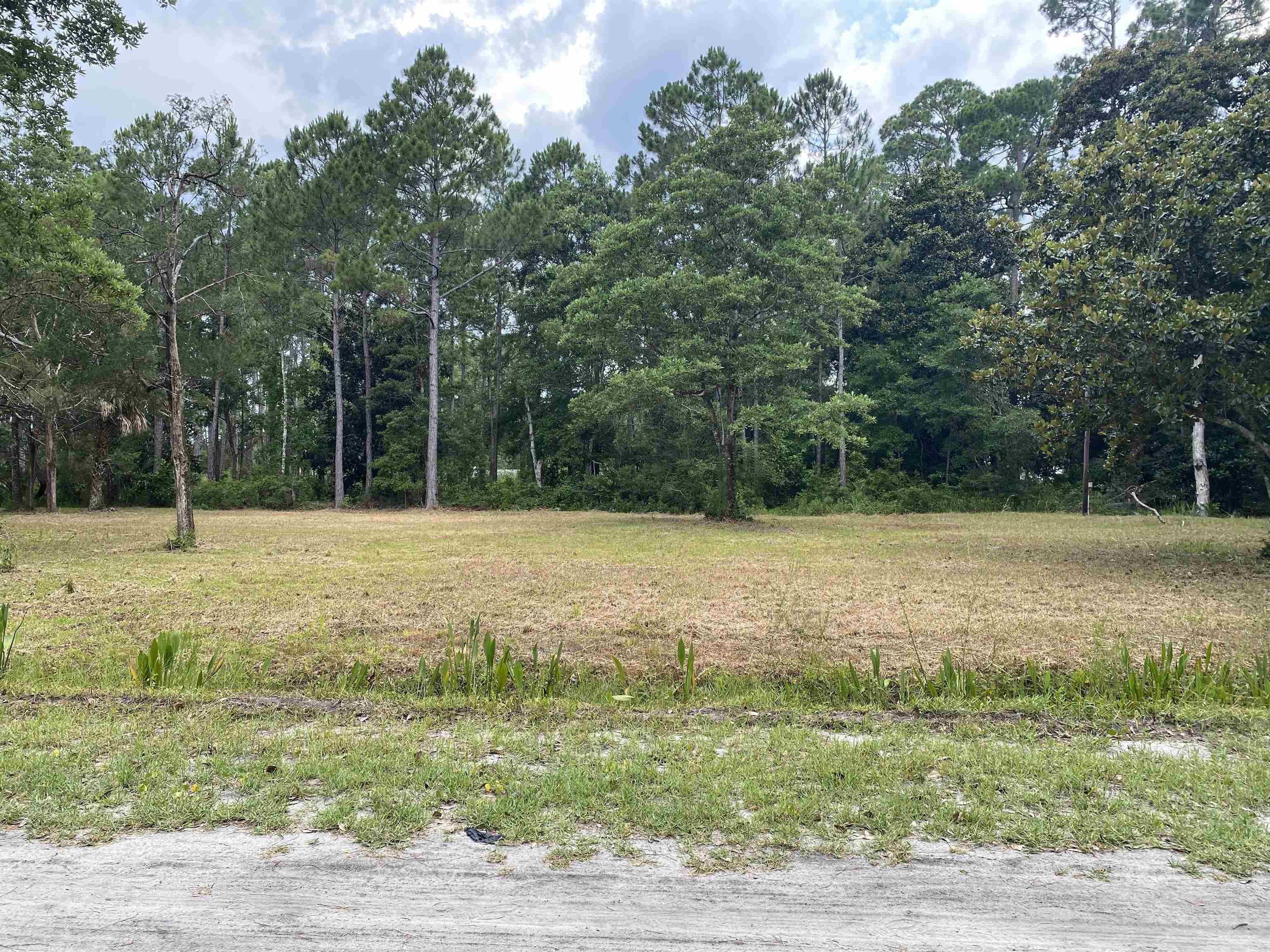 136 Alapaha Avenue, Panacea, Florida image 27
