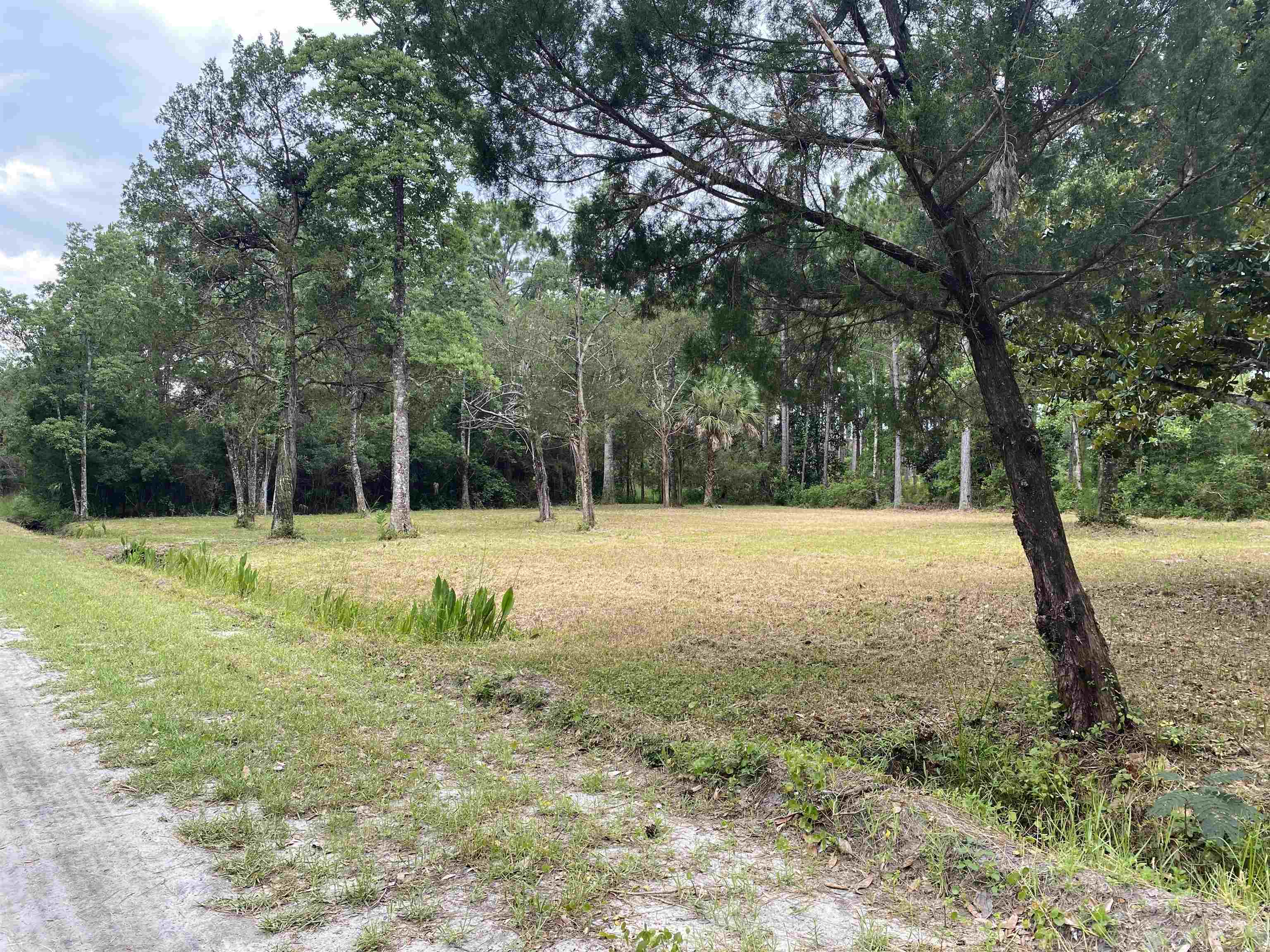 136 Alapaha Avenue, Panacea, Florida image 28