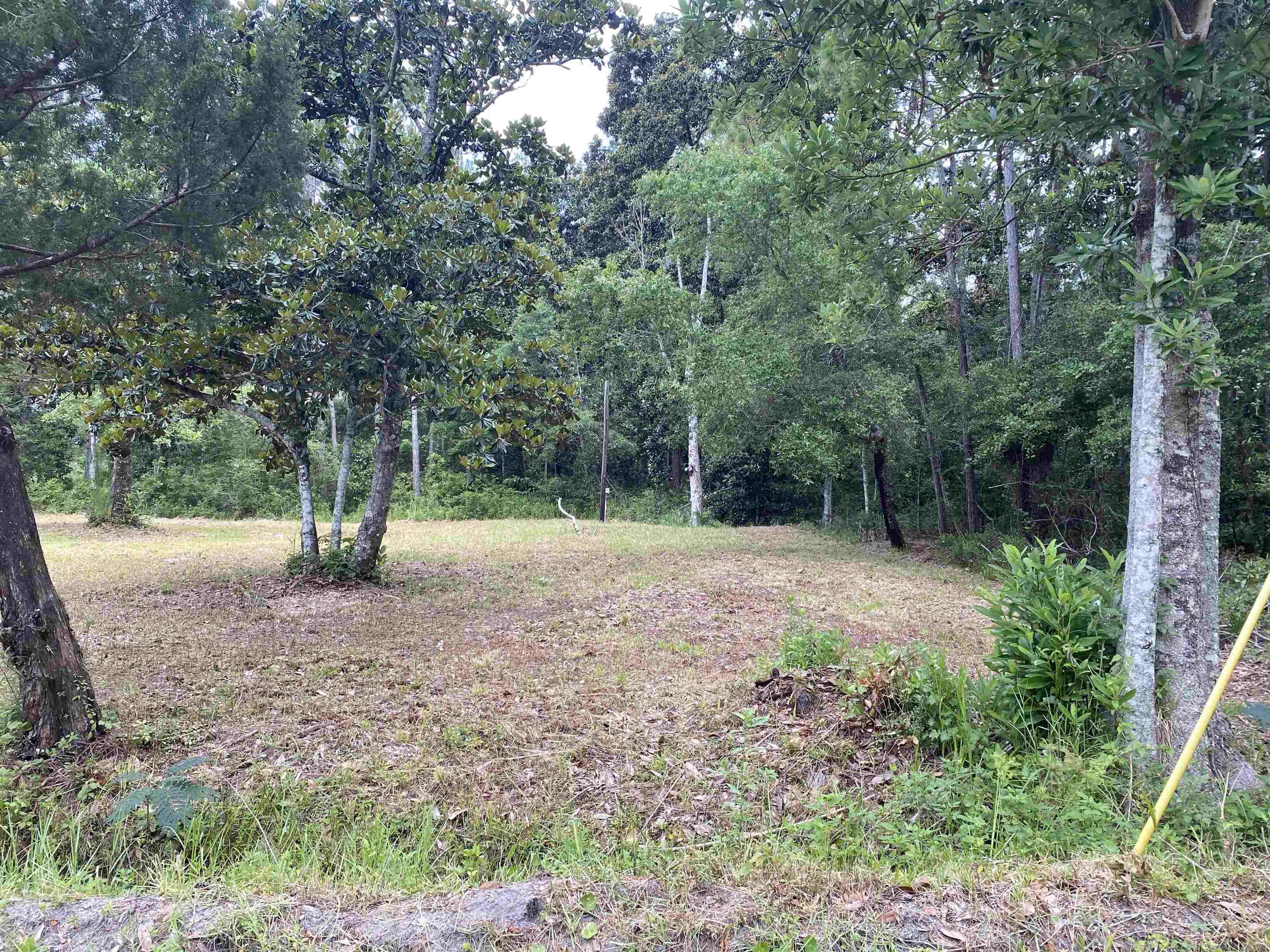 136 Alapaha Avenue, Panacea, Florida image 29