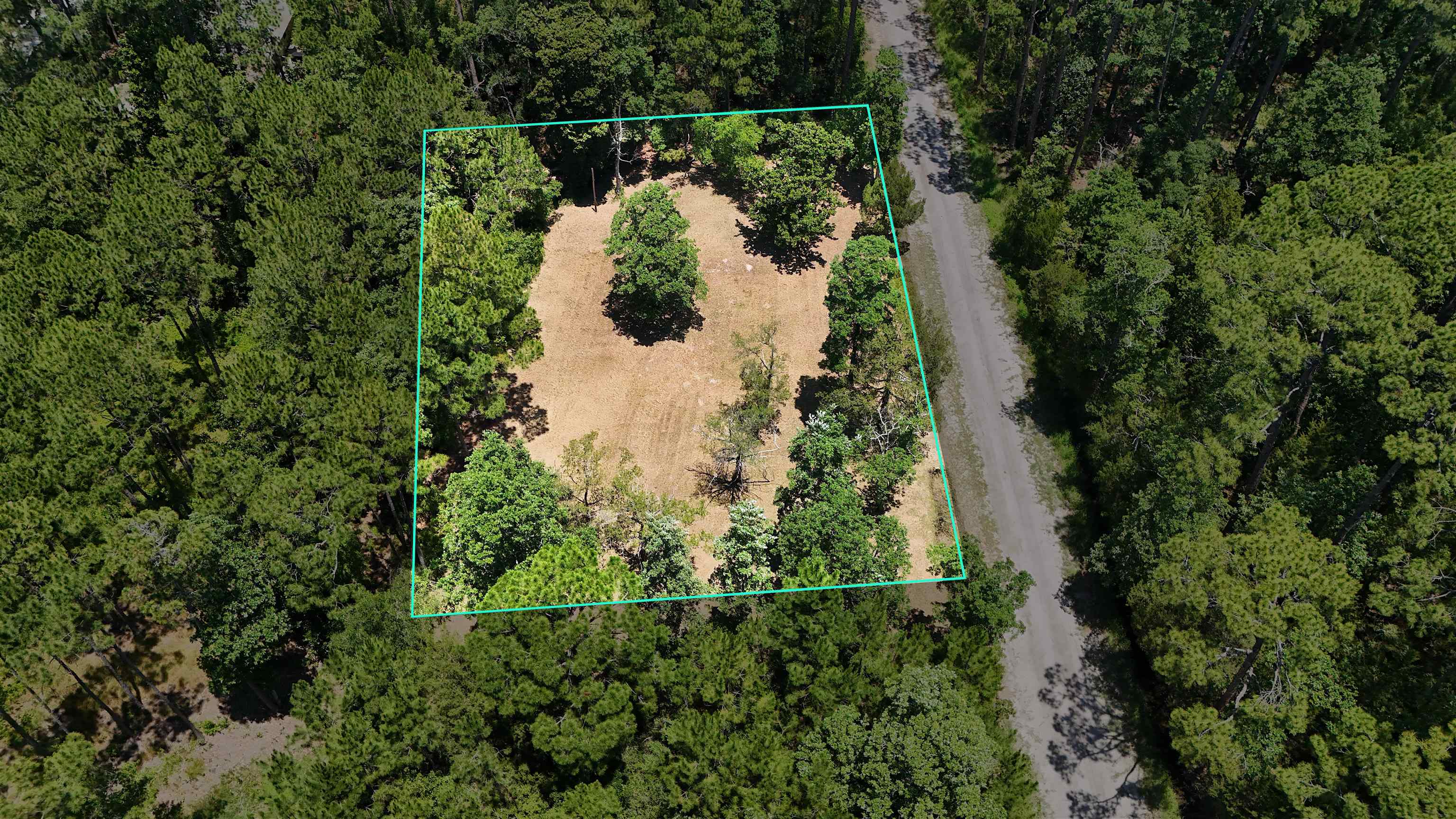 136 Alapaha Avenue, Panacea, Florida image 3