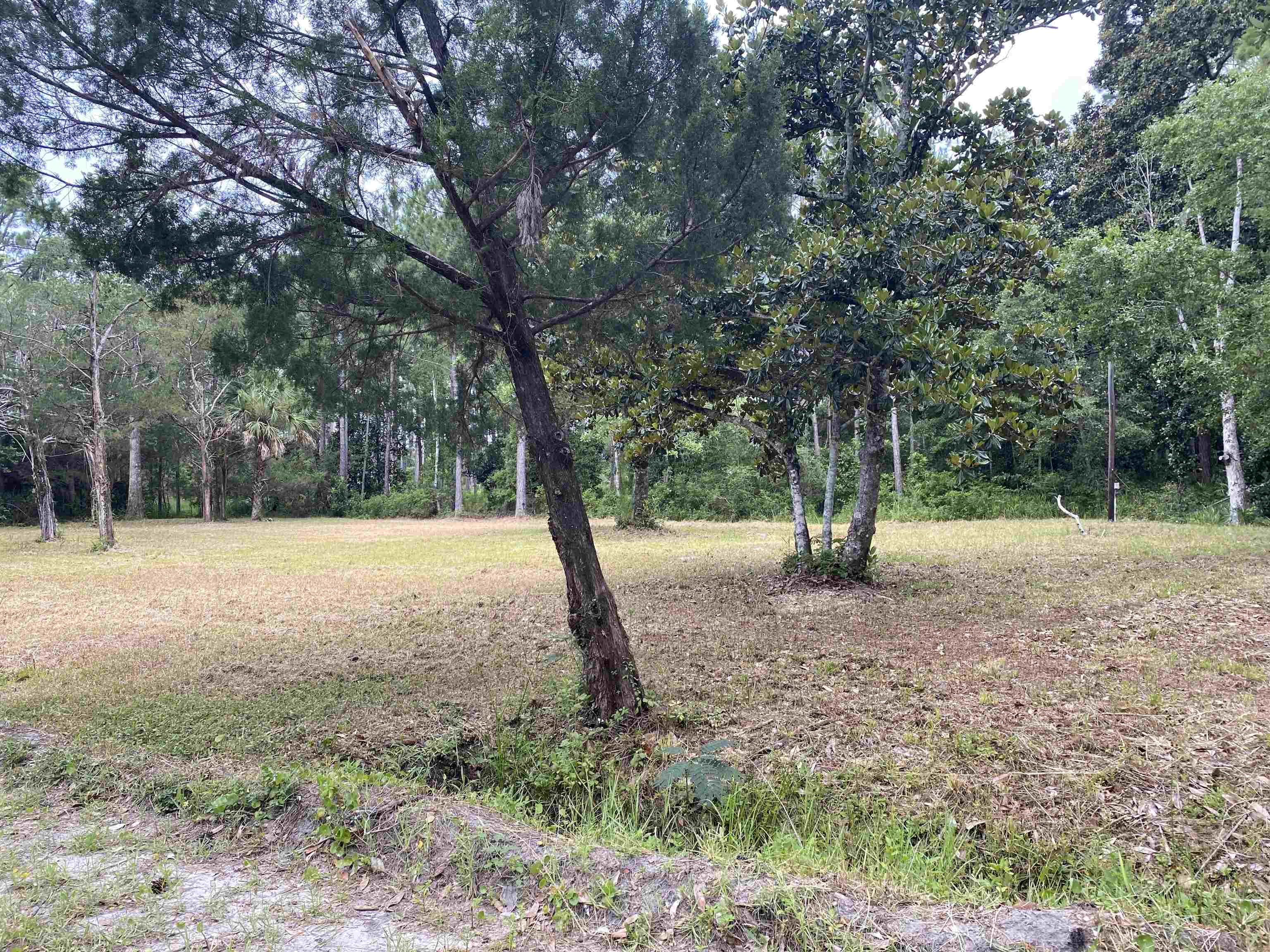 136 Alapaha Avenue, Panacea, Florida image 30