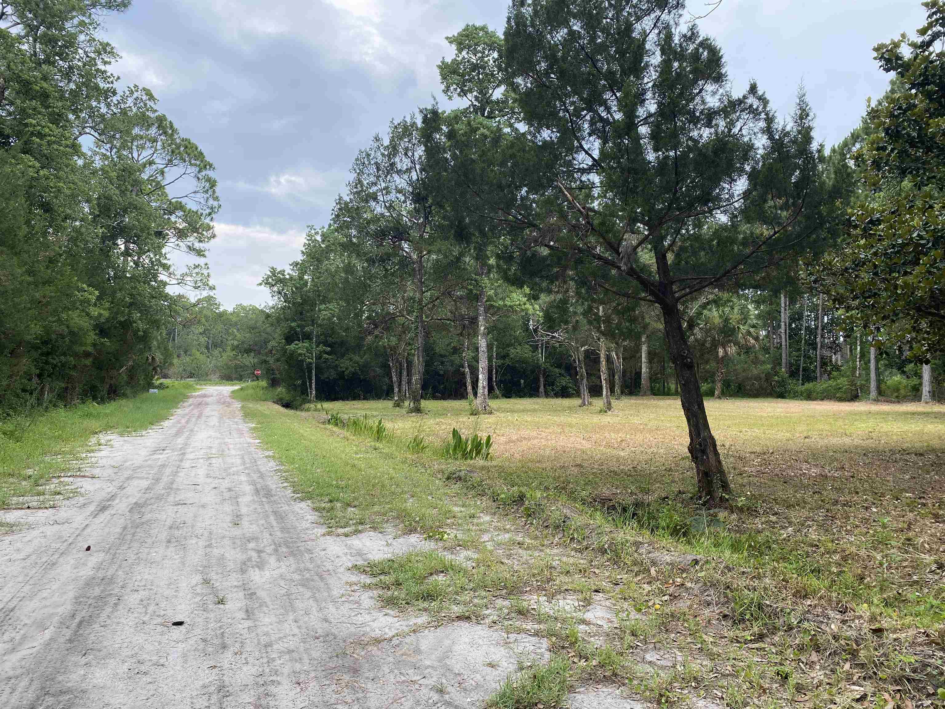 136 Alapaha Avenue, Panacea, Florida image 31