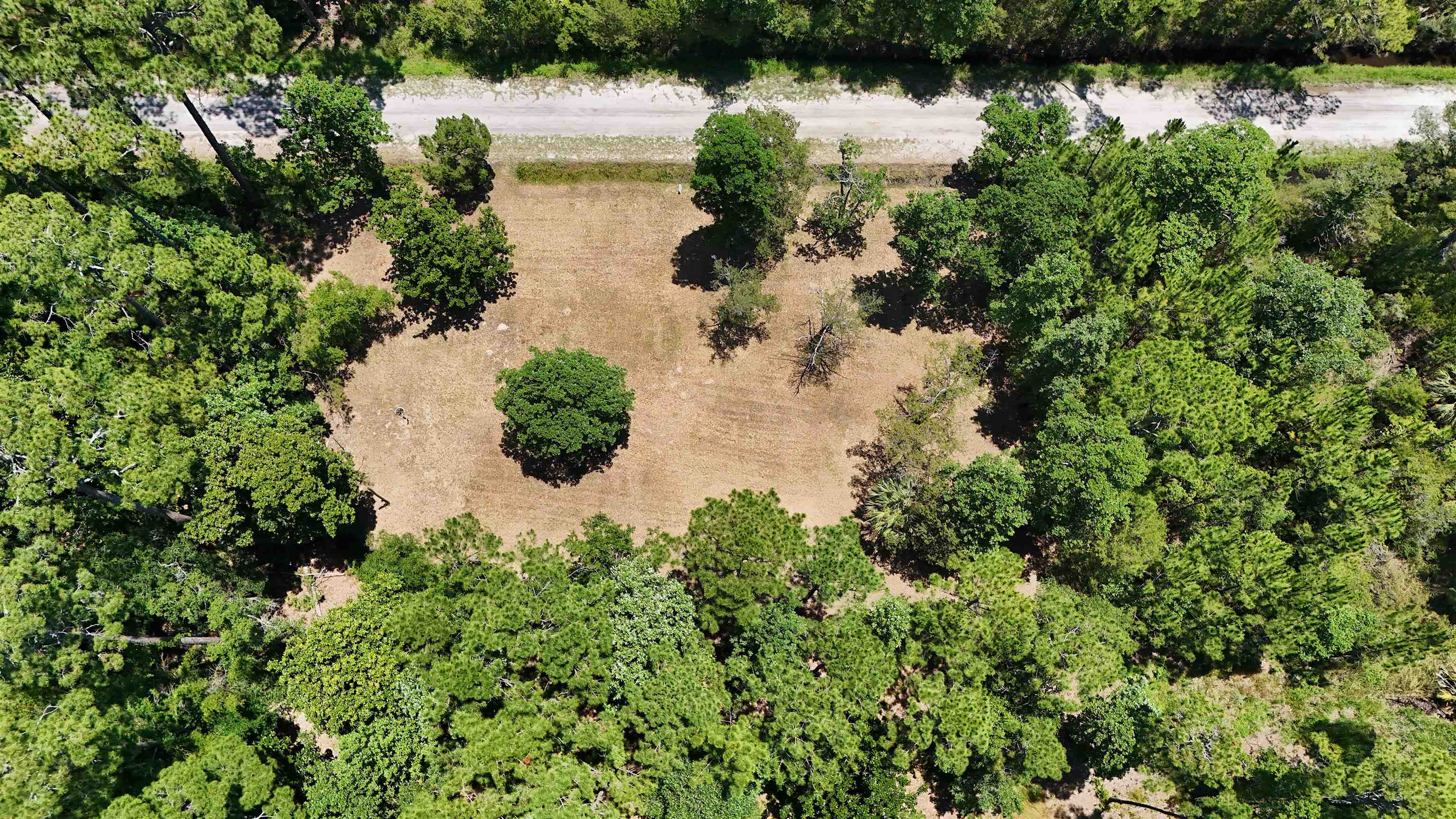 136 Alapaha Avenue, Panacea, Florida image 6