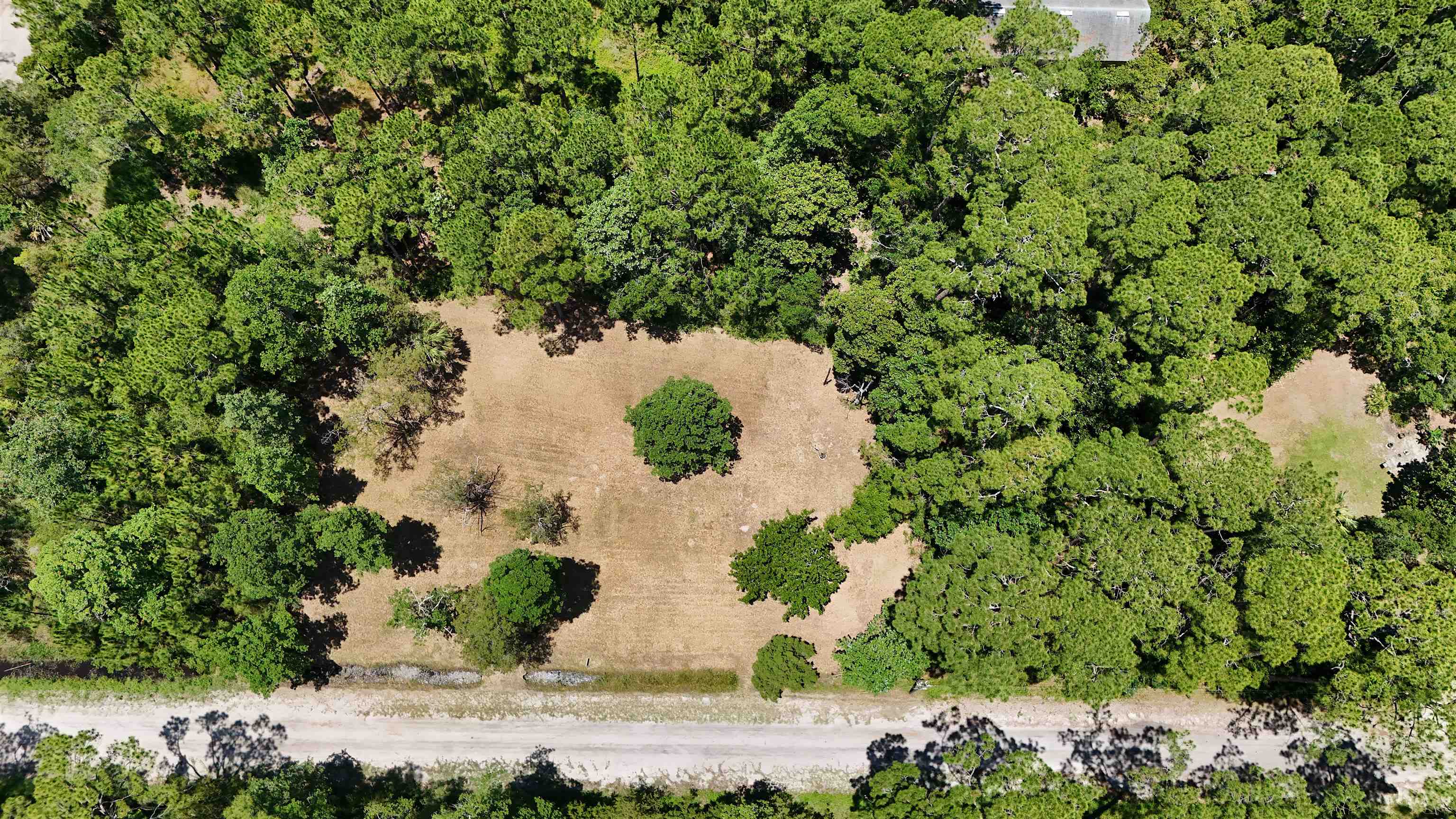 136 Alapaha Avenue, Panacea, Florida image 7