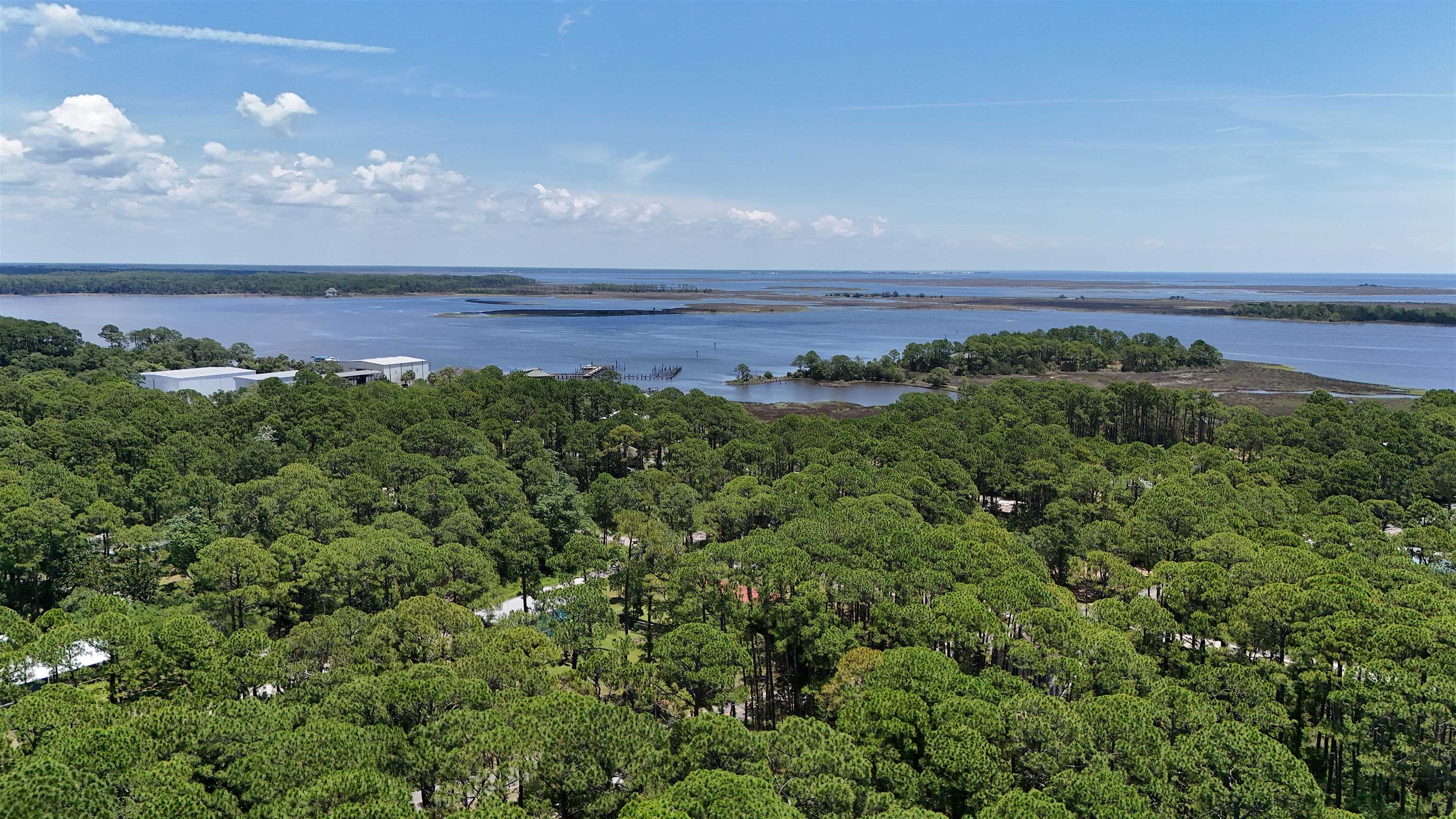 136 Alapaha Avenue, PANACEA, Florida image 8