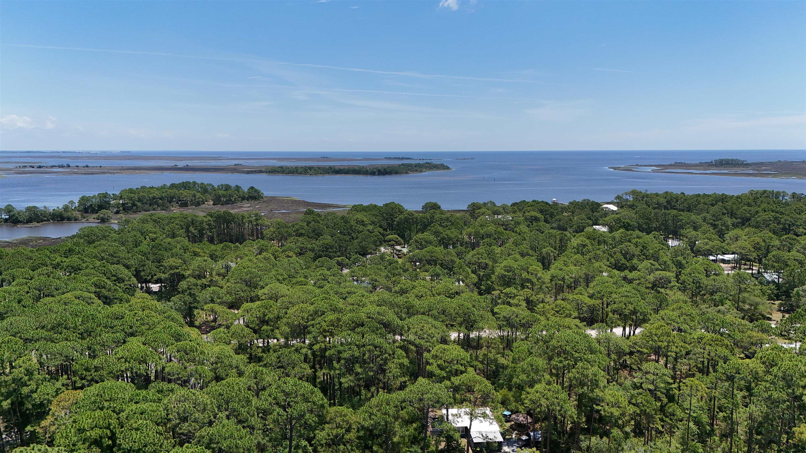 136 Alapaha Avenue, PANACEA, Florida image 9