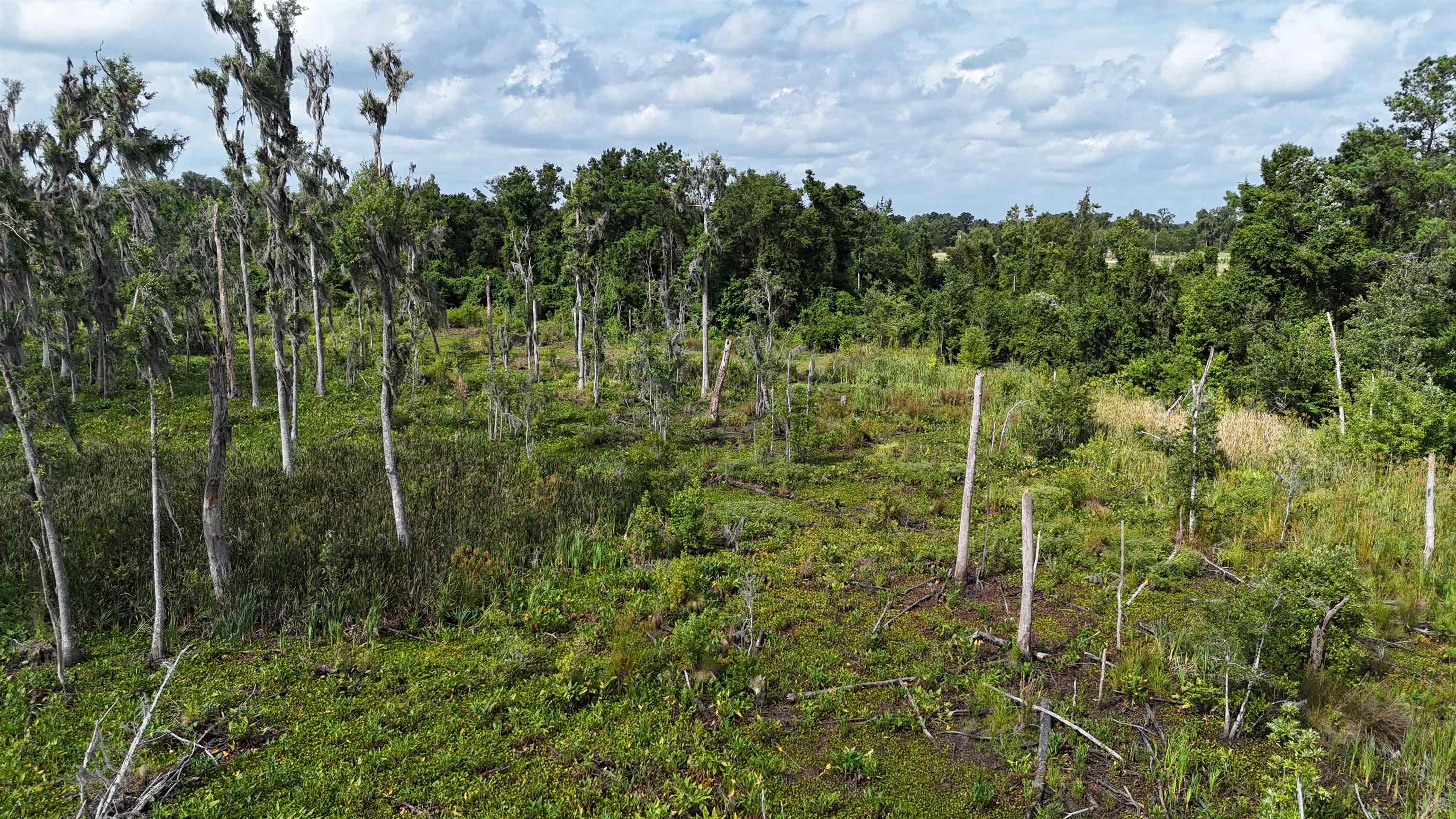 Vacant SE Cr 132, White Springs, Florida image 19