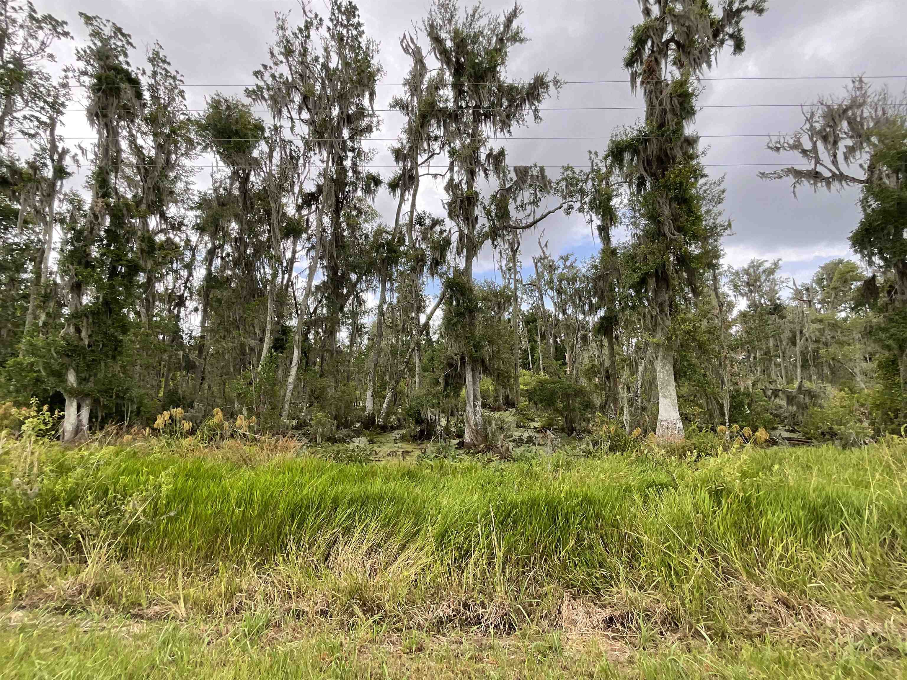 Vacant SE Cr 132, White Springs, Florida image 37