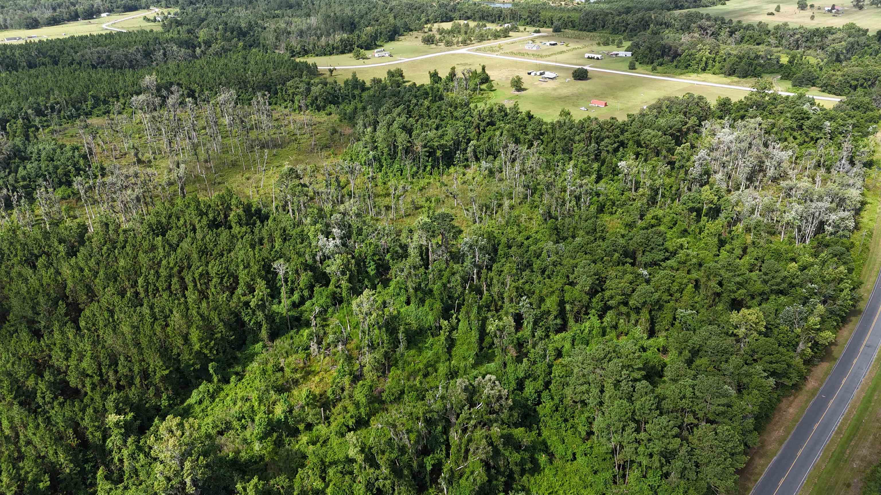 Vacant SE Cr 132, White Springs, Florida image 7