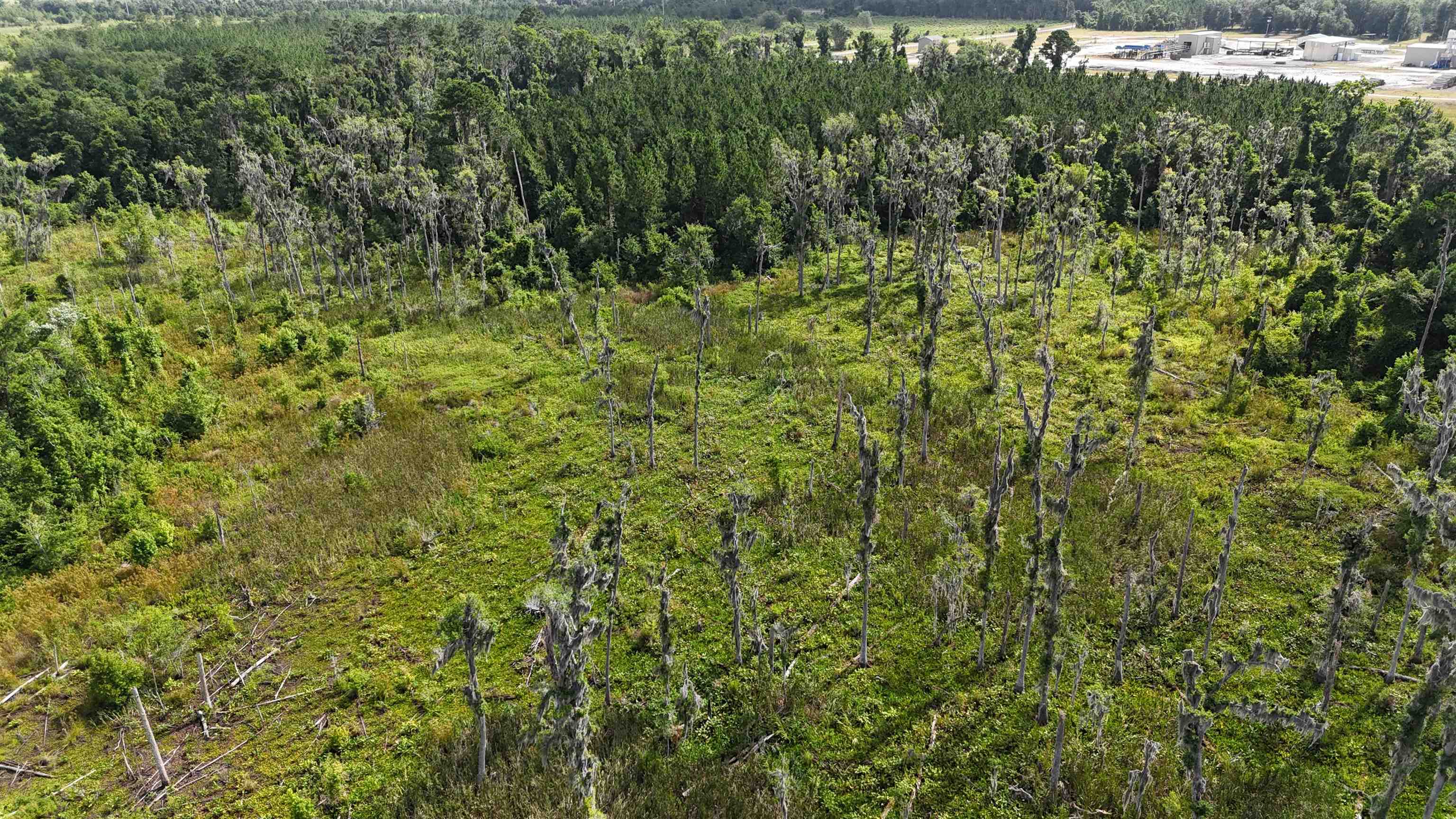 Vacant SE Cr 132, White Springs, Florida image 8