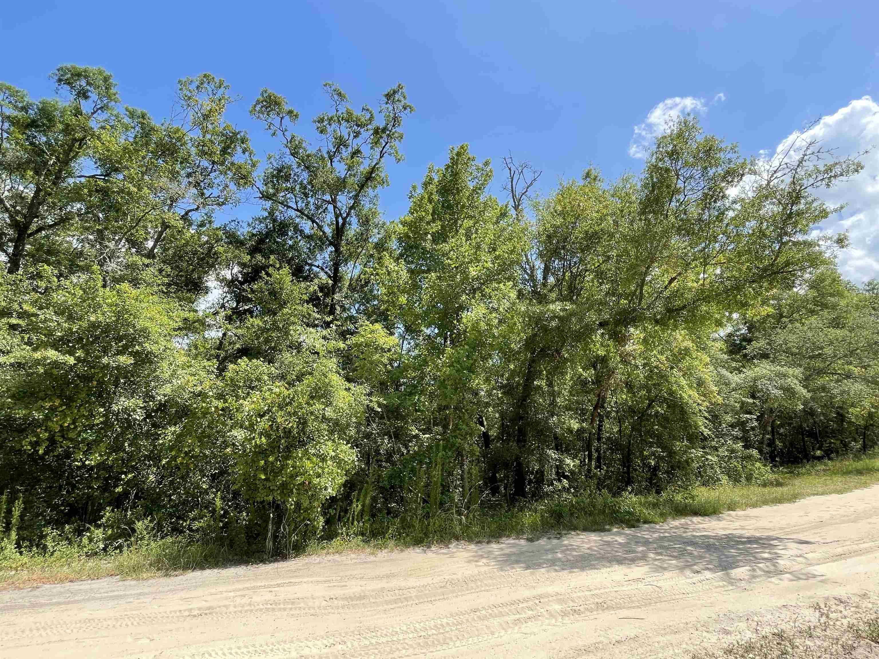 Vacant NW Pin Oak Lane, JENNINGS, Florida image 1