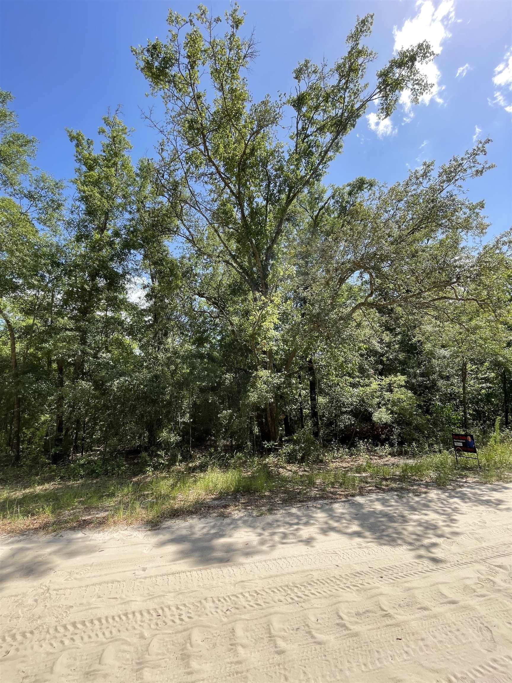 Vacant NW Pin Oak Lane, JENNINGS, Florida image 11