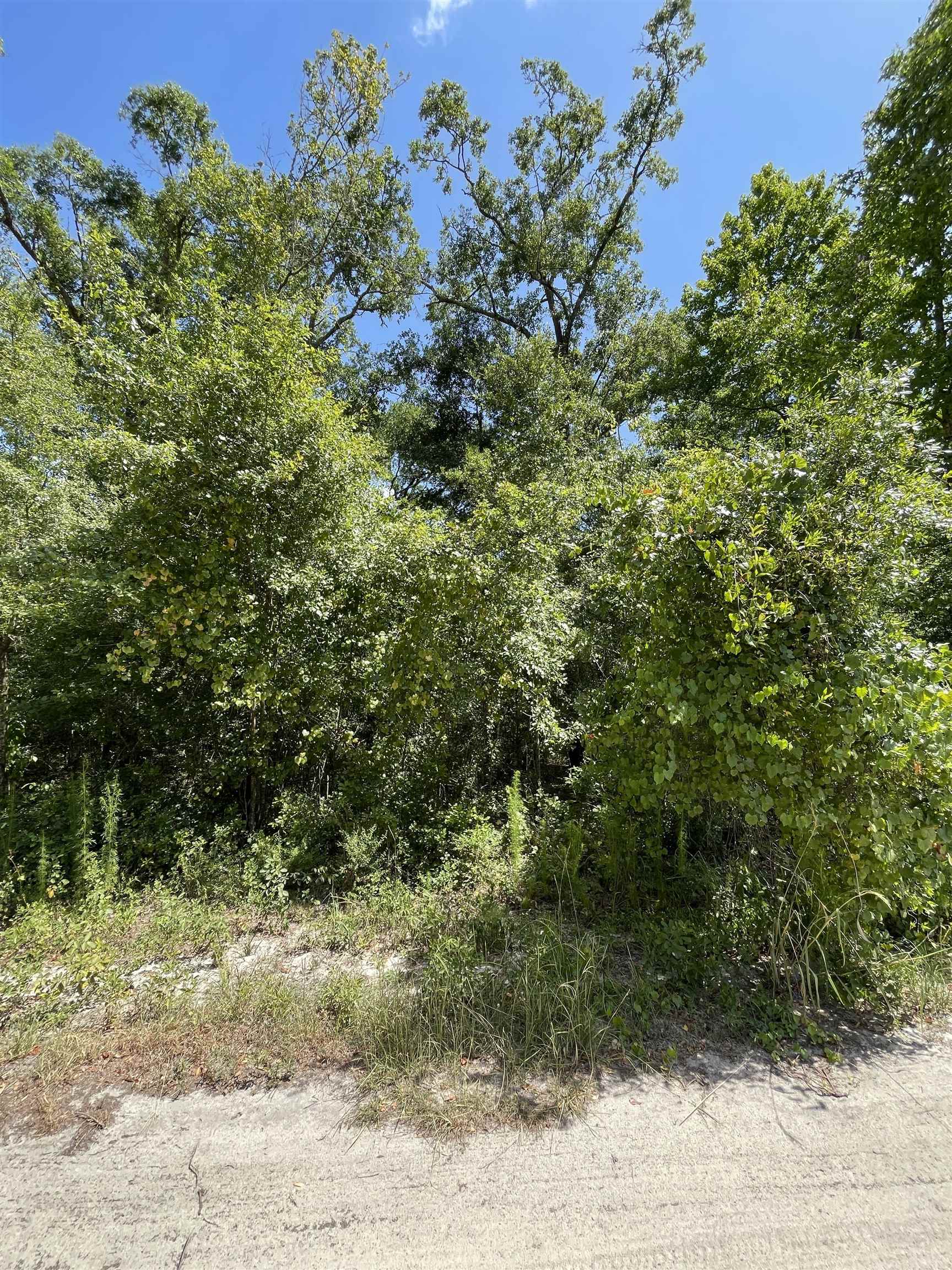 Vacant NW Pin Oak Lane, JENNINGS, Florida image 6