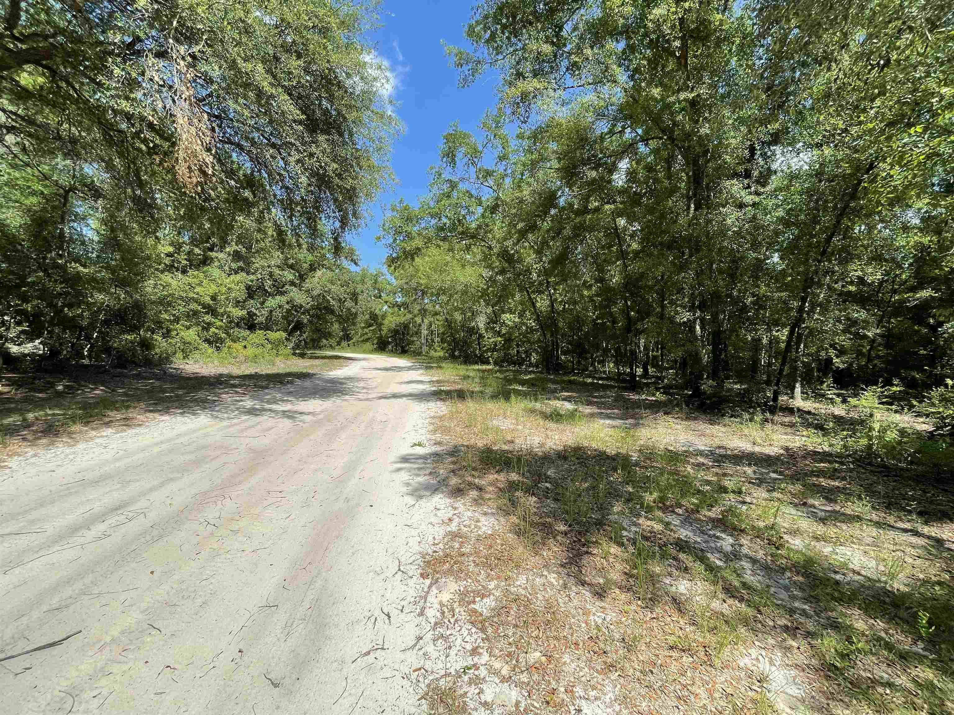 Vacant NW Pin Oak Lane, JENNINGS, Florida image 7