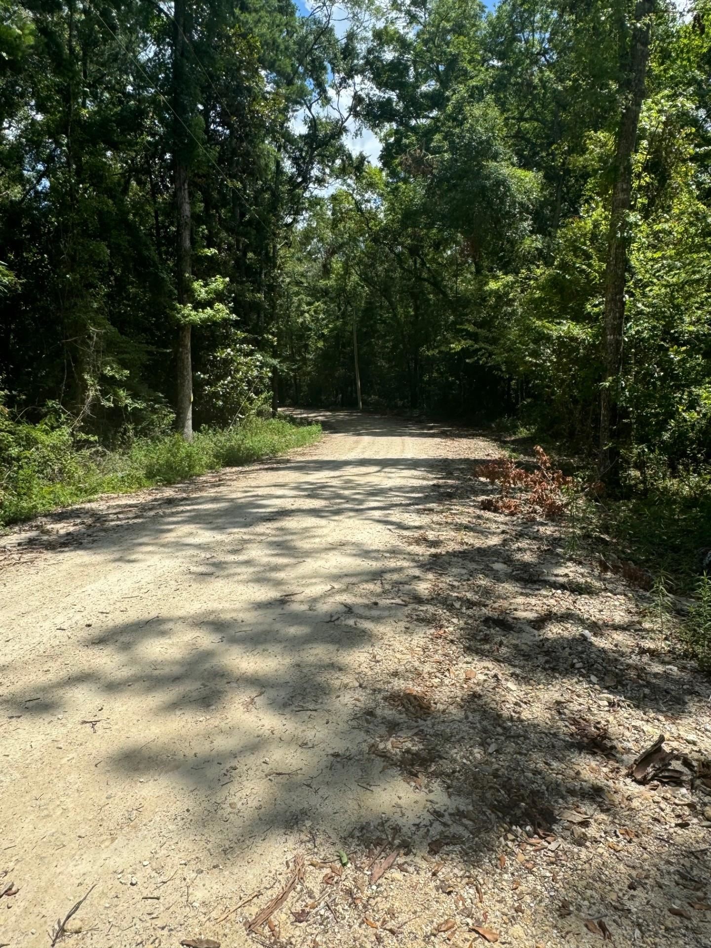 Fallow Road, LAMONT, Florida image 12