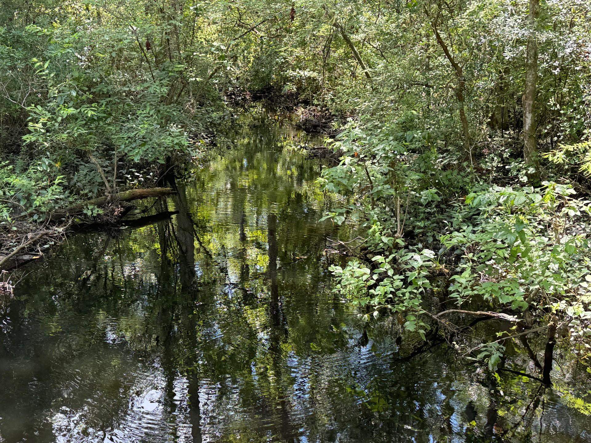 Fallow Road, LAMONT, Florida image 7