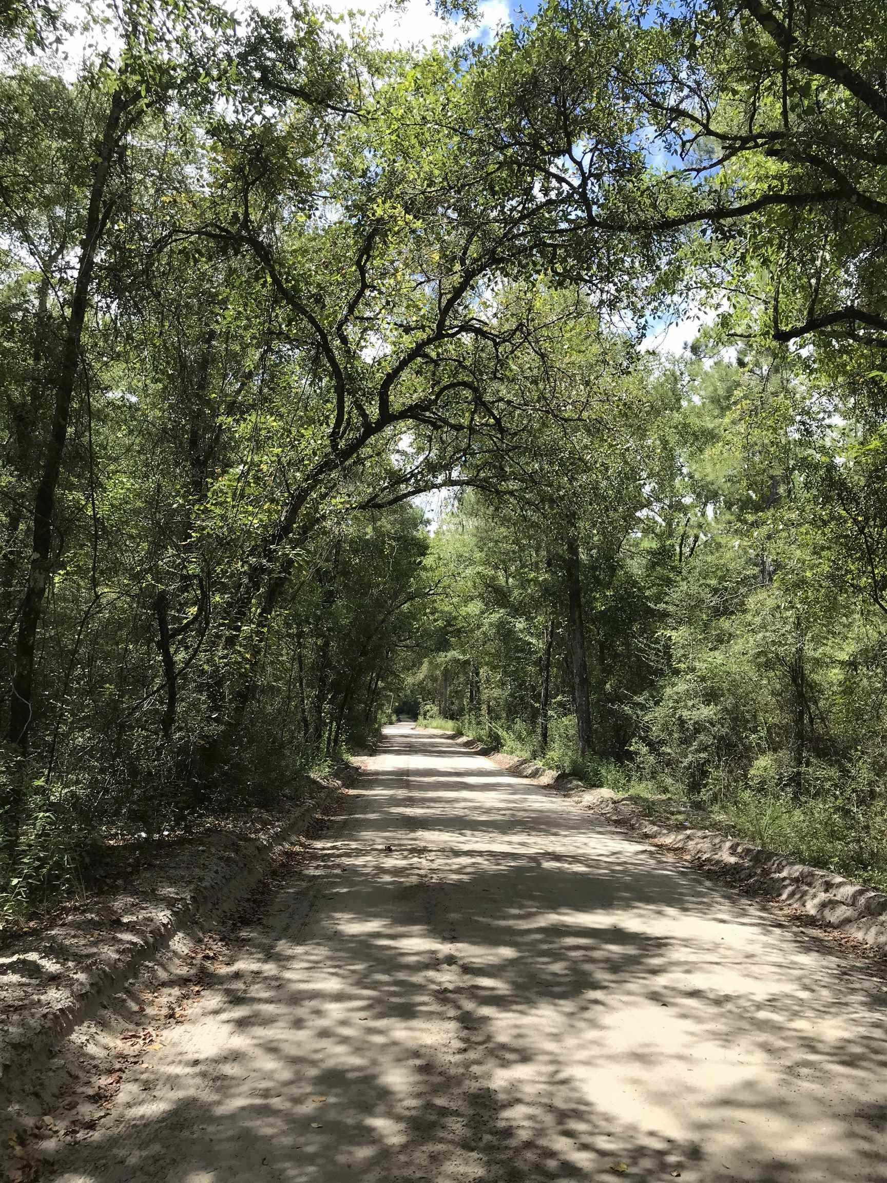 Andrew Spears Road, Crawfordville, Florida image 1