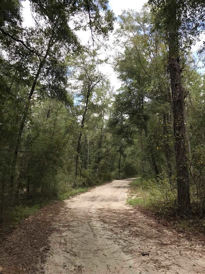 Andrew Spears Road, Crawfordville, Florida image 19