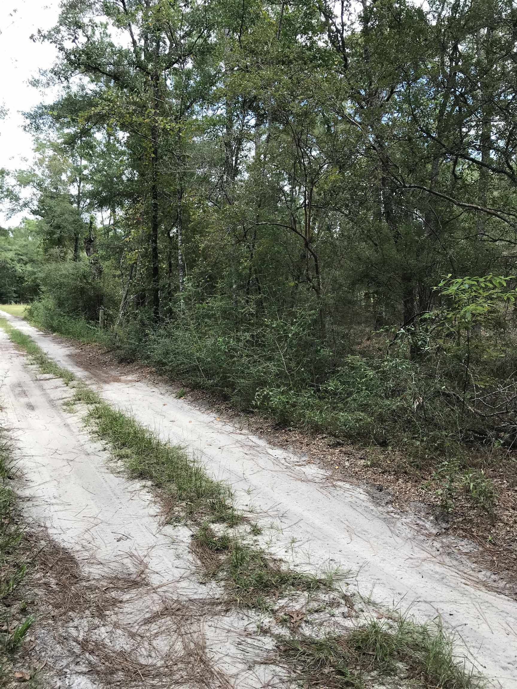 Andrew Spears Road, Crawfordville, Florida image 3