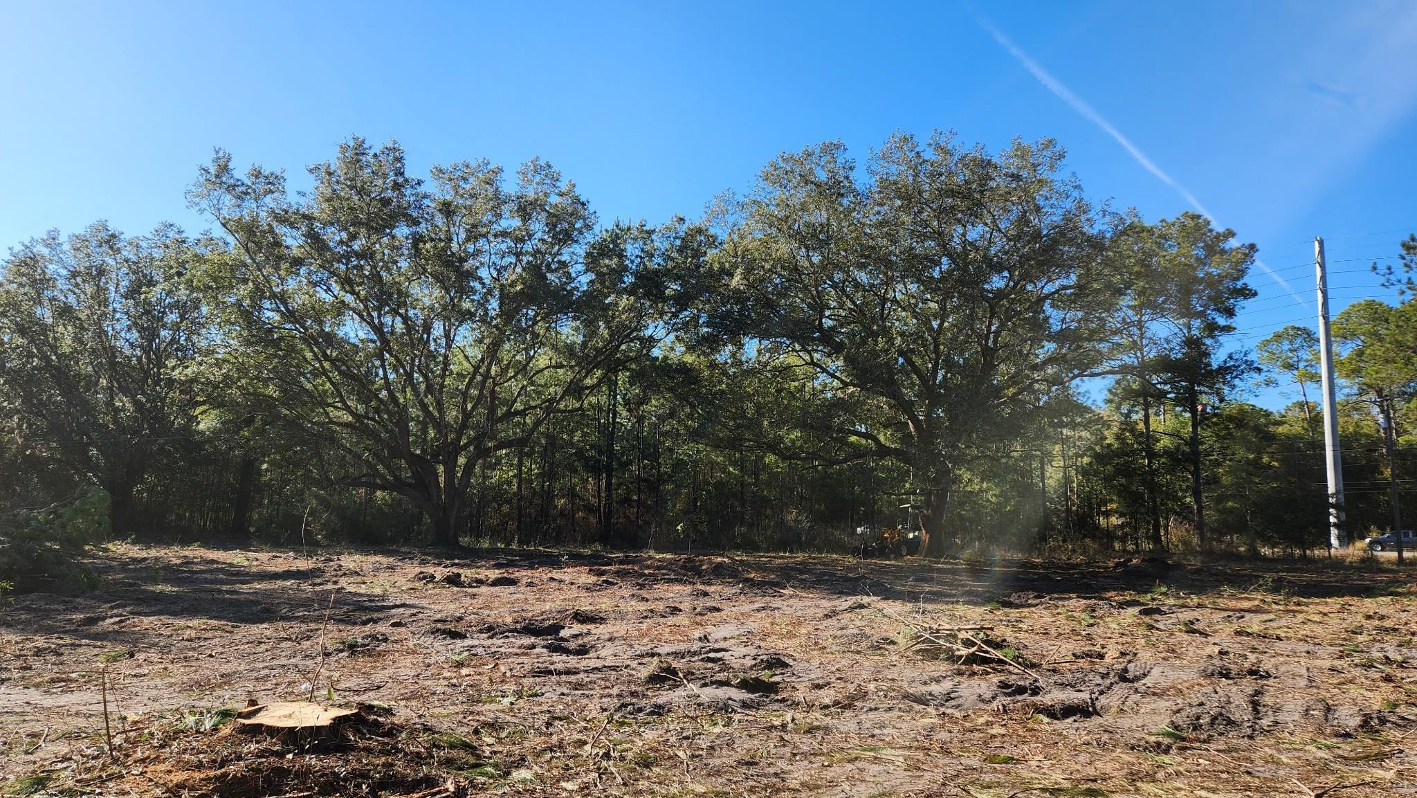16653 Blountstown Highway, Tallahassee, Florida image 1