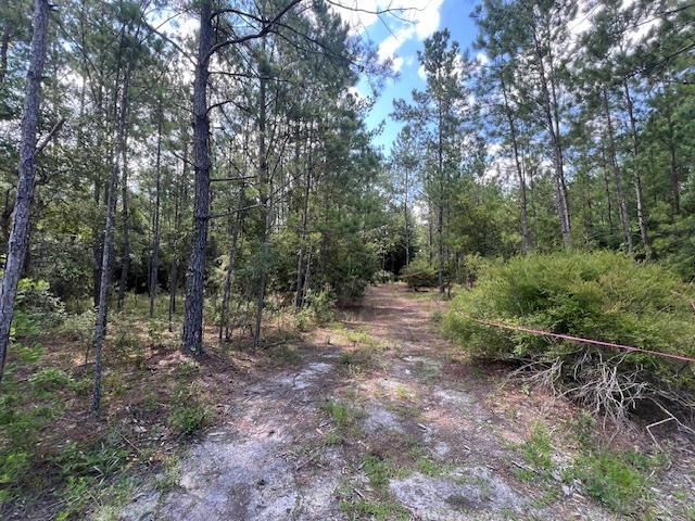 16653 Blountstown Highway, Tallahassee, Florida image 10